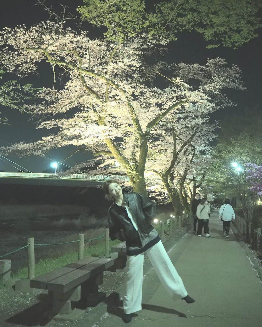 碓井玲菜さんのインスタグラム写真 - (碓井玲菜Instagram)「夜桜さんぽ🌸🌸🌸」3月31日 20時41分 - reina_usui