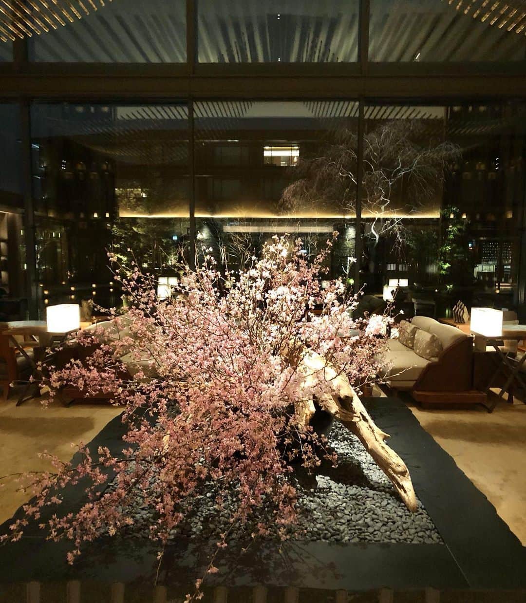 進藤やす子のインスタグラム：「＊ 先々週の京都出張ではcharmant sacの恵里子さん @eclat_eriko が予約をしてくださっていて初めてHOTEL THE MITSUI KYOTOへ✨  二条城に程近い三井家ゆかりの地（旧三井総本家跡）に建つ和モダンなホテル。庭園を望むレストラン「FORNI」でコース料理をいただきました。  古代米のリゾットや、たんたん苺とマスカルポーネのケーキ、美味しかった〜🥰（あとはミーハーな話に夢中で内容を失念...笑）  恵里子さんありがとうございました✨  @hotel_the_mitsui_kyoto  #hotelthemitsuikyoto #ホテルザ三井京都 #京都 #kyoto #やす子の外食メモ」