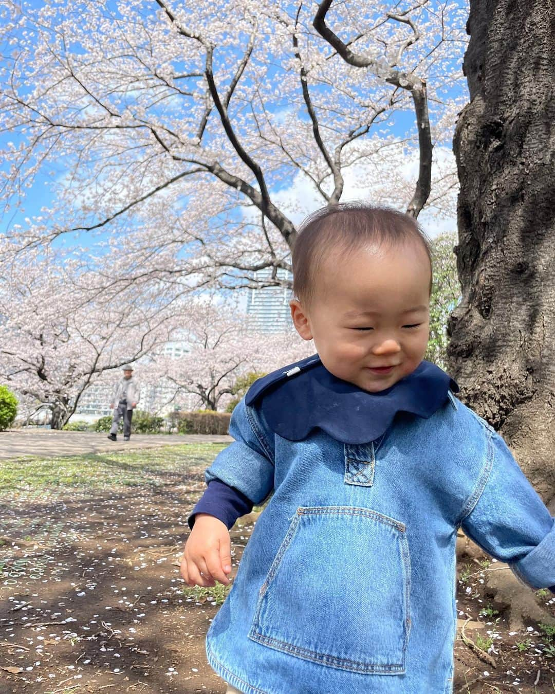 菊池沙都さんのインスタグラム写真 - (菊池沙都Instagram)「🌸🌸🌸  #🌸#桜#cherryblossom #一歳三ヶ月#男の子ママ #Wakuwakudays #隅田川#お花見#お花見スポット」3月31日 21時02分 - satochin30