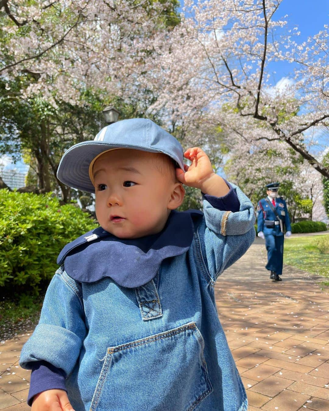 菊池沙都のインスタグラム：「🌸🌸🌸  #🌸#桜#cherryblossom #一歳三ヶ月#男の子ママ #Wakuwakudays #隅田川#お花見#お花見スポット」