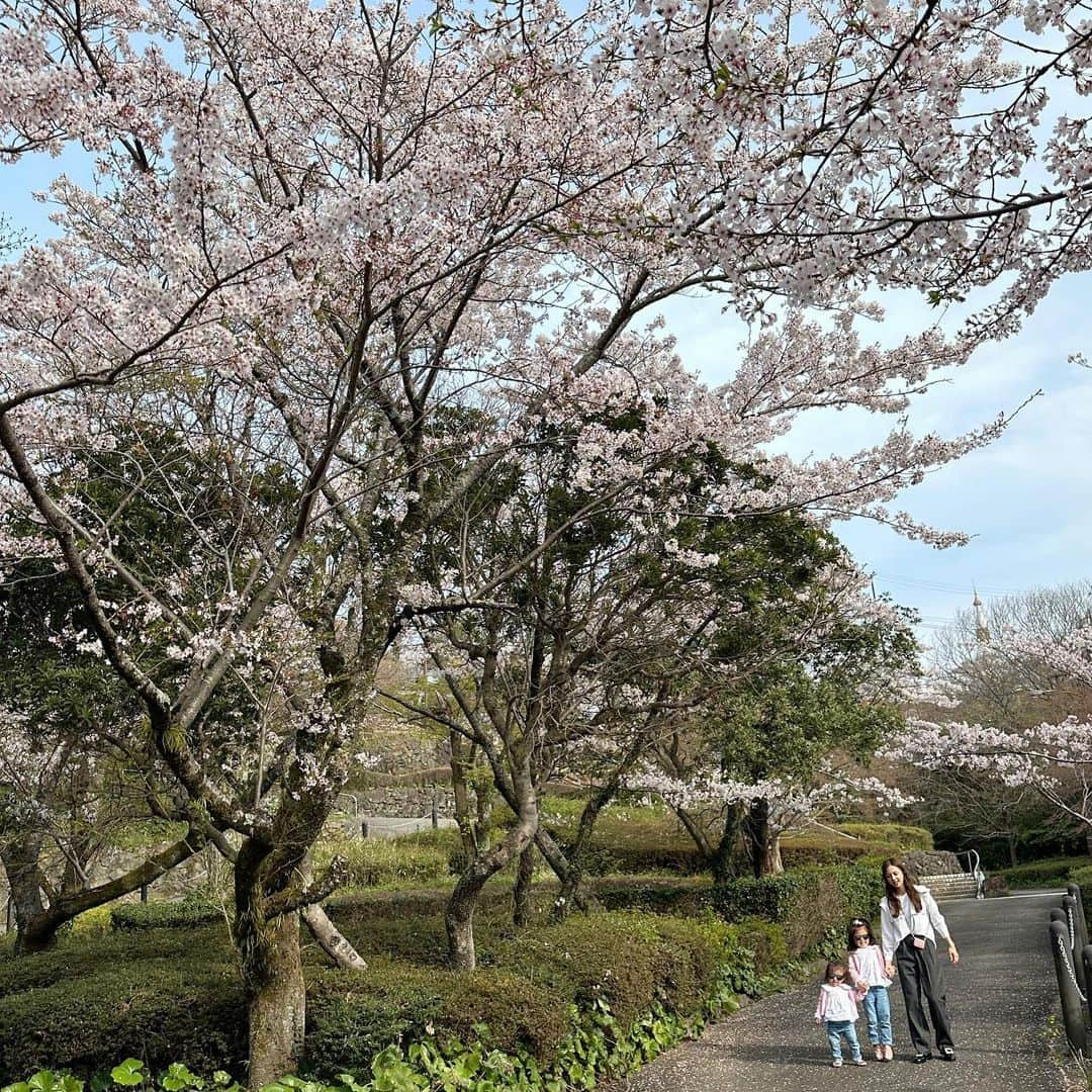 丸高愛実さんのインスタグラム写真 - (丸高愛実Instagram)「3月もラスト〜🤍 桜🌸が綺麗だね🥰  #桜 #🌸 #眉山 #眉山公園 #姉妹 #お揃いコーデ #柿谷家」3月31日 12時19分 - marutakamanami