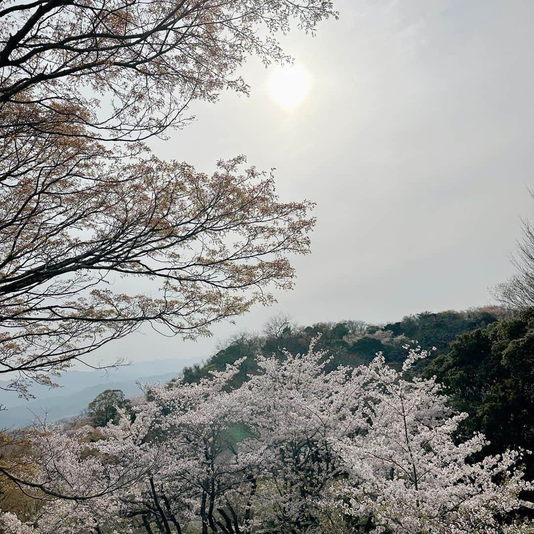 丸高愛実さんのインスタグラム写真 - (丸高愛実Instagram)「3月もラスト〜🤍 桜🌸が綺麗だね🥰  #桜 #🌸 #眉山 #眉山公園 #姉妹 #お揃いコーデ #柿谷家」3月31日 12時19分 - marutakamanami