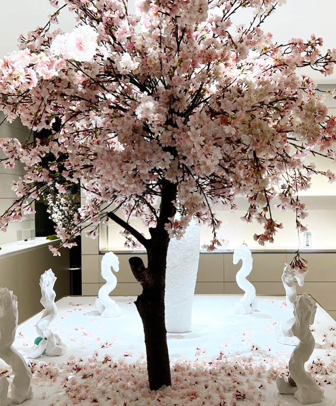 佐々木敬子さんのインスタグラム写真 - (佐々木敬子Instagram)「. 福王寺朱美さん @filrouge_akemi  AKEMI FUKUOJIギャラリーの1周年へ💕💕💕🌸🌸  「桜と龍の釈迦マリア」  清らかで美しく新たな春の訪れを感じる素晴らしいインスタレーションでした✨ みんなにも会えて嬉しい時間💕やっぱり桜の季節は美しいね🌸 4月中は一般公開しているのでぜひ訪れてみてほしい✨  #福王寺朱美 #AKEMIFUKUOJI」3月31日 12時12分 - keikosasaki_mylan