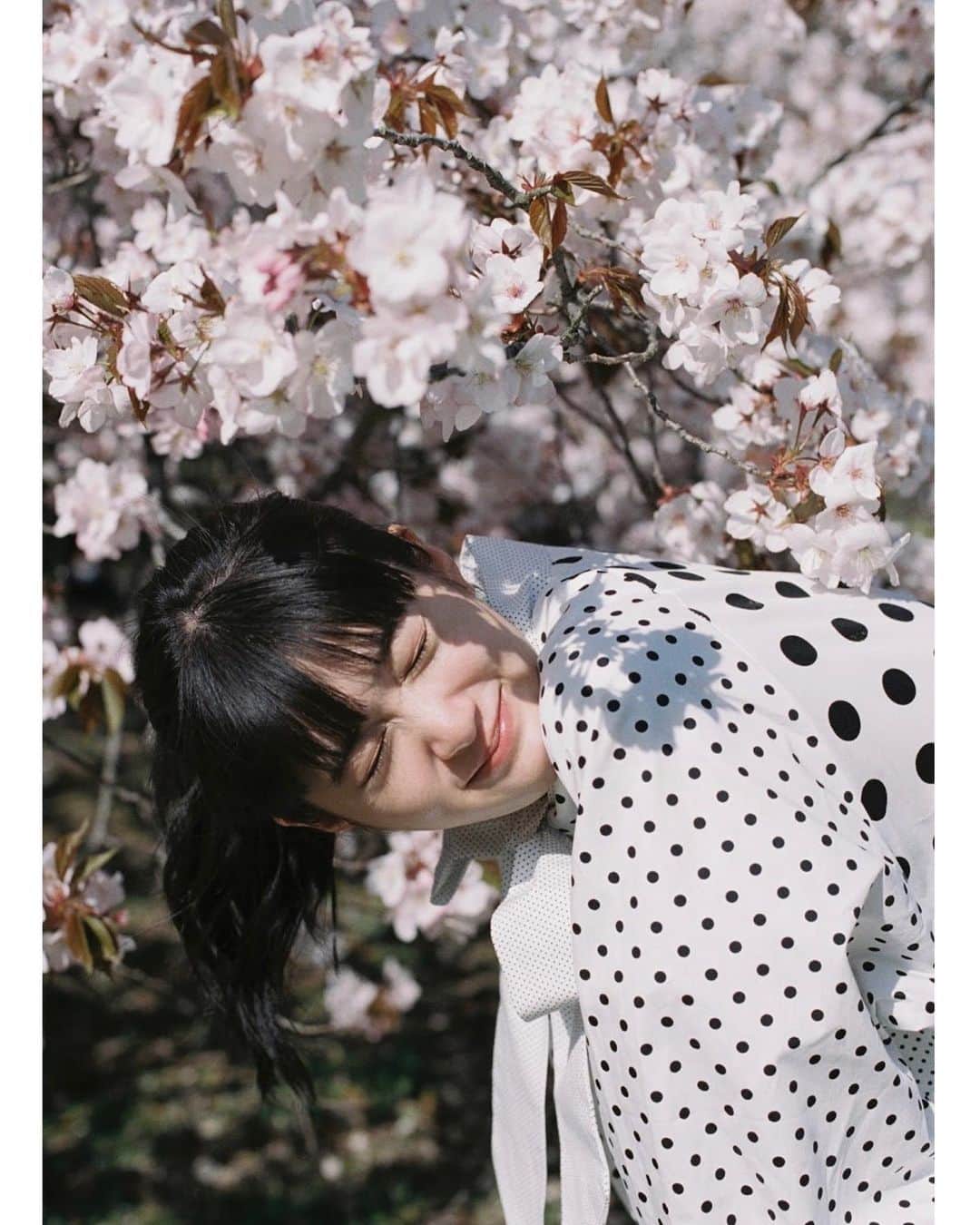 小西桜子さんのインスタグラム写真 - (小西桜子Instagram)「2022🌸」3月31日 12時15分 - sakurako_kns