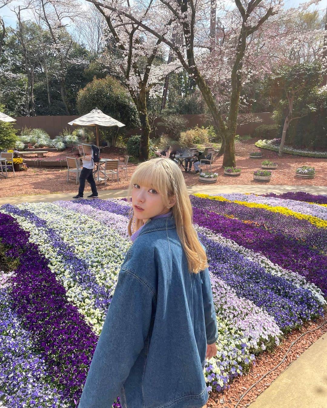 夏目璃乃さんのインスタグラム写真 - (夏目璃乃Instagram)「春の気温が1番好き‪‪🌷  フォロワーさんがやっとやっと1.3万人になりました‪‪☺︎‬ フォローしてくださった方ありがとうございます꙳☄︎」3月31日 12時23分 - natsume_rino