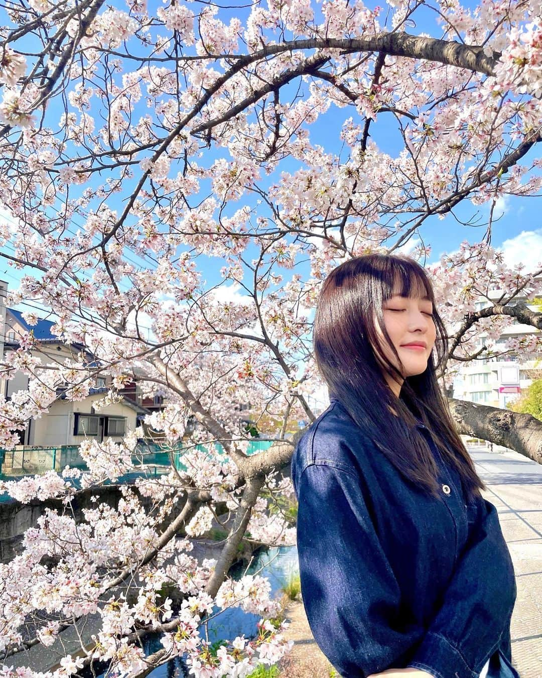 斉藤瑞季のインスタグラム：「もう今年は桜の写真を撮るのは無理かな〜なんて思ってたところ 母と見つけた地元の綺麗な桜！🌸 誰も写真撮ってなかったし！！笑」