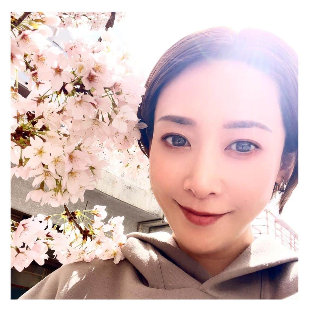 龍真咲のインスタグラム：「お花見🌸  実家には、父が産まれた時に植えられた大きな桜の木があります🌸 毎年大輪の桜を咲かせ花吹雪も風情があり、父の代から見守ってくれている桜の木。 子供の頃はよくこの桜の木に登って遊んでいました🤭  初めて家に帰って来た日、初めて自転車に乗れた日、入学式や卒業式、習い事や音楽学校から遅くに帰って来た時もいつも見守ってくれていました🥰 これからもずっと隣にいてほしい存在なのです🌸  この日はとても暖かく、３時間程サンドイッチを食べたりお話したり。。。少し日焼けはしたかもしれないけれど、ばっちり光合成できました🌱 りーくんも、お花見してて可愛かった🐶💓 来年もみんなでお花見したい！！  #家族で  #お花見 #桜の木 #桜の木の下で #最高の贅沢時間  #いぬのいる暮らし  #わんすたぐらむ  🌸🌸🌸🌸🌸🌸」