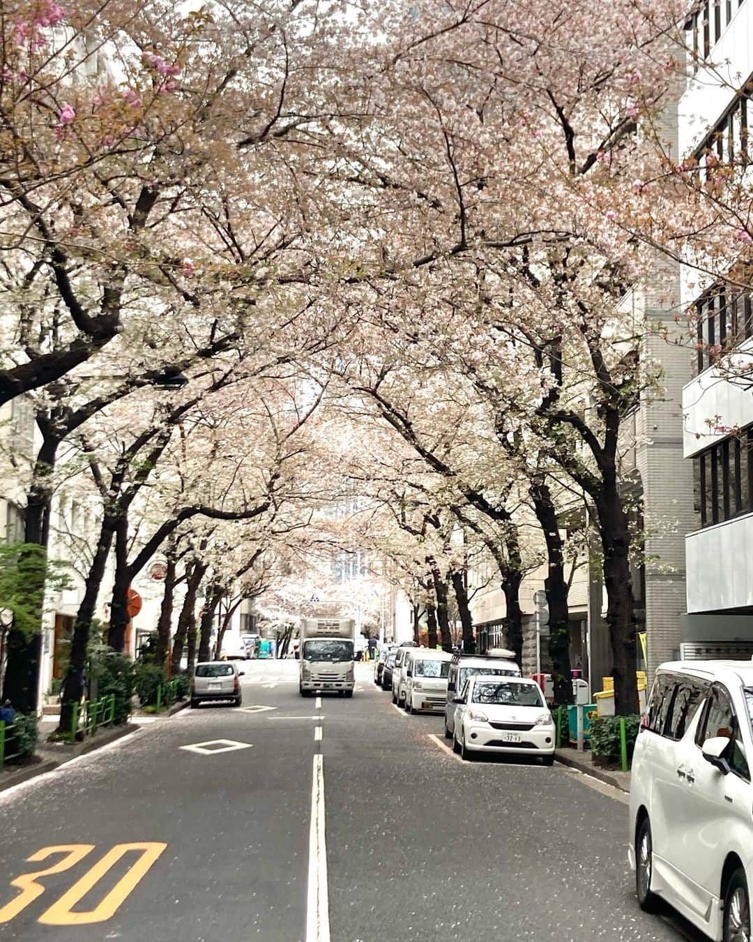 平田亮介のインスタグラム：「../  本日付で2年勤めた会社を退職し、 独立・新たなキャリアスタート！🚀  26歳まだまだ世間知らず未熟者ですが、 人生一回チャレンジあるのみ！！  周りの方々のお陰で今の自分があります。 "一期一会"を胸に成長していきます！😆  YouTubeどうするかなぁー。。笑」