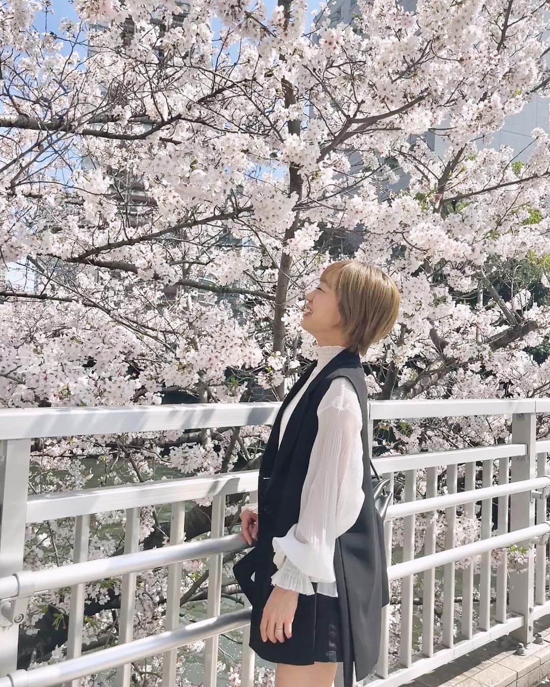 DJ YURiAのインスタグラム：「ちょとお花見できた日🌸 暖かかったなぁ🌿  #cherryblossom  #tokyo #shorthair #桜 #お花見 #🌸」