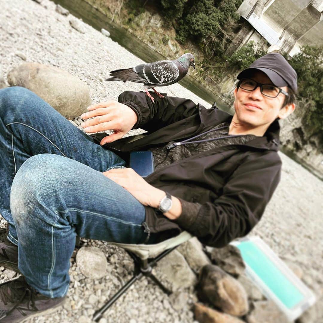 松田洋治のインスタグラム：「鳩も来た。」