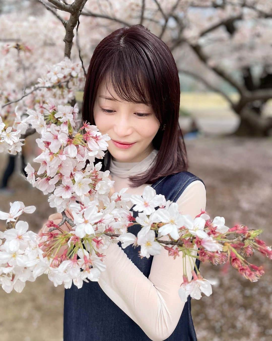 岡部磨知のインスタグラム：「お花見2023🌸  #violin #recording  #musician」