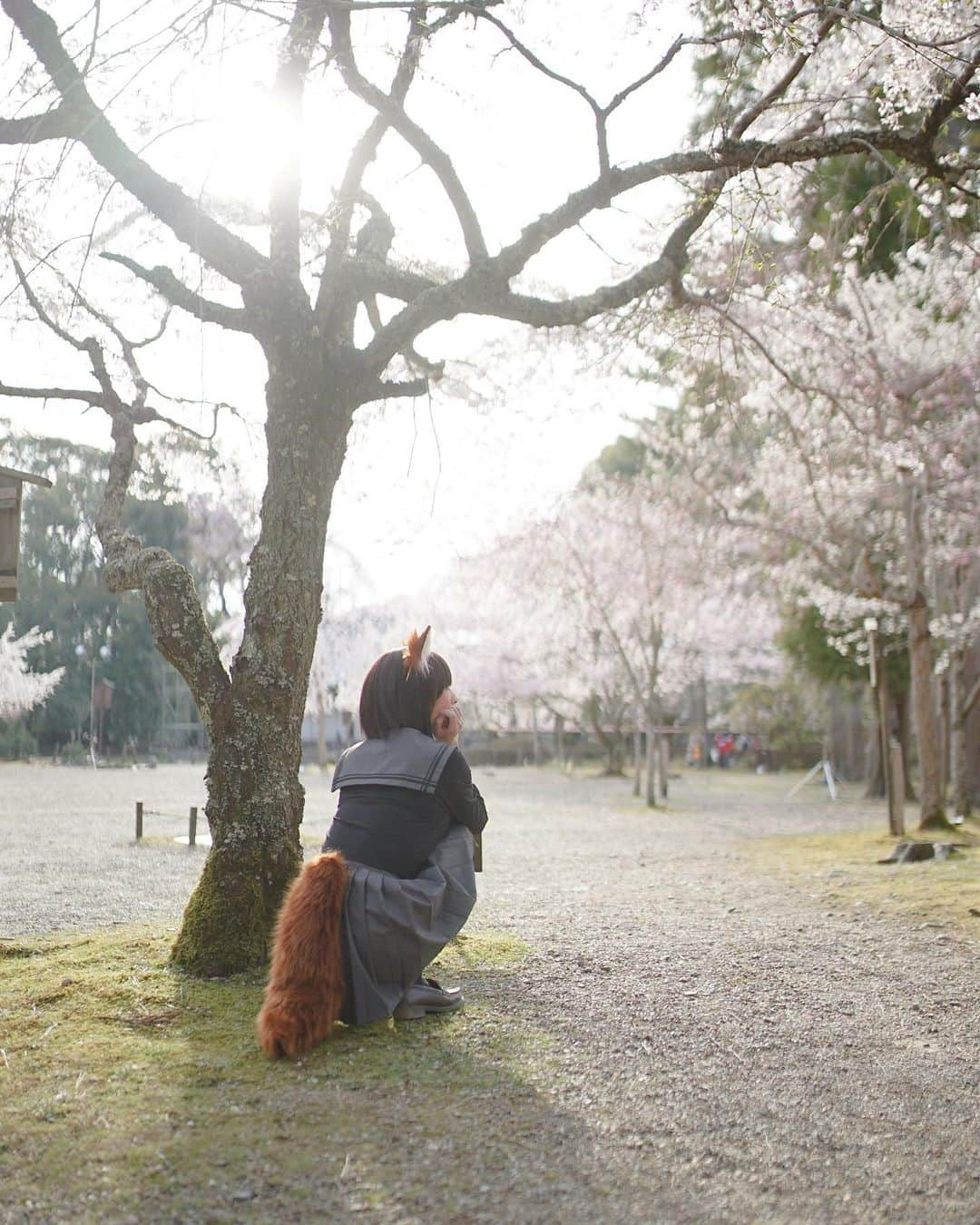 王子妃さんのインスタグラム写真 - (王子妃Instagram)「🦊🌸」3月31日 14時52分 - fay198978