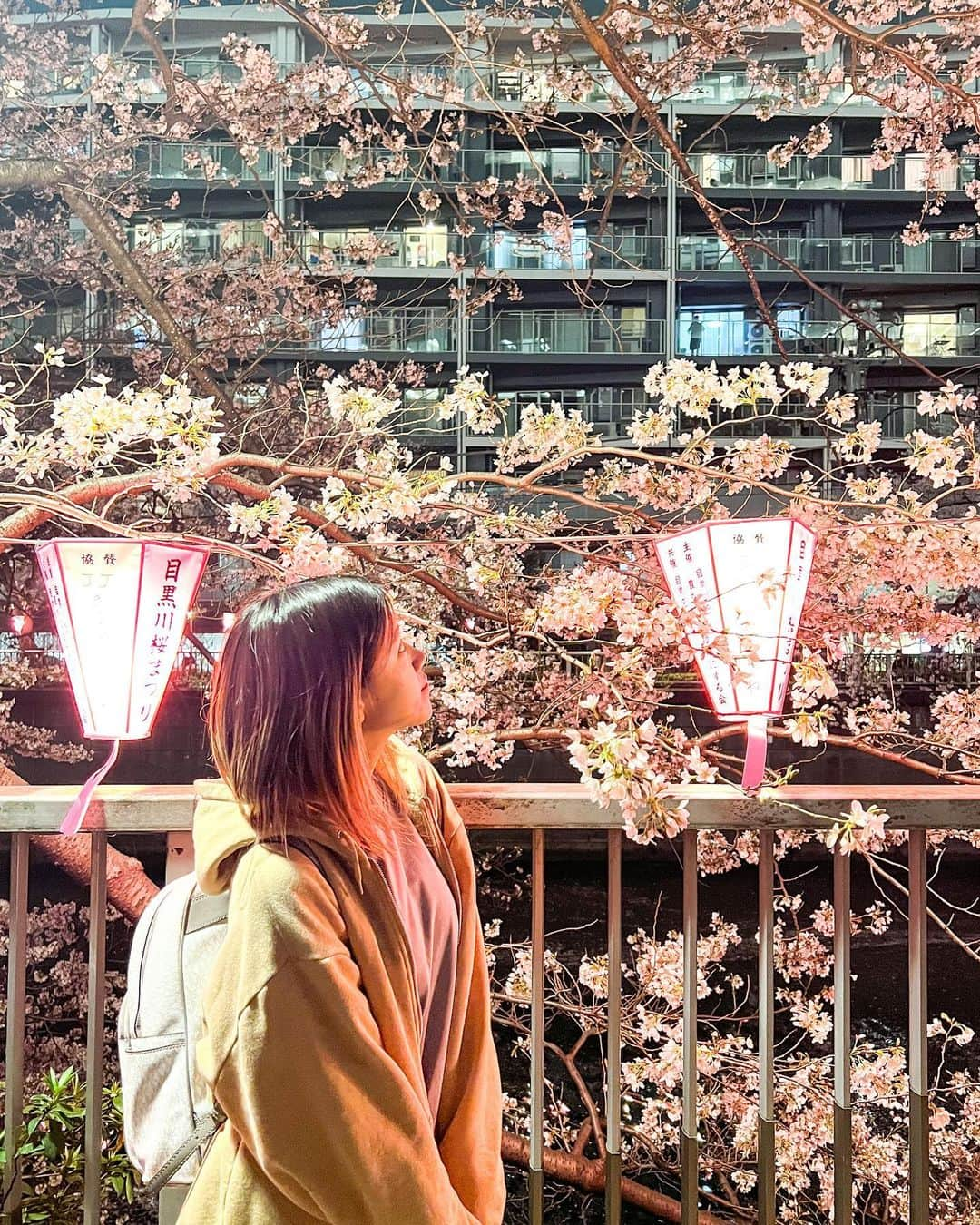 林優菜さんのインスタグラム写真 - (林優菜Instagram)「. この前友達と目黒川行ってきた🌸 夜桜めちゃくちゃ綺麗だった〜〜 今年はいっぱいお花見に行きたいな😌 . . . #目黒川 #夜桜 #桜 #お花見 #🌸 #cherryblossom #벚꽃 #메구로강 #밤벚꽃 #꽃놀이 #instagood #인스타그램 #instalike」3月31日 15時12分 - yu_na_816