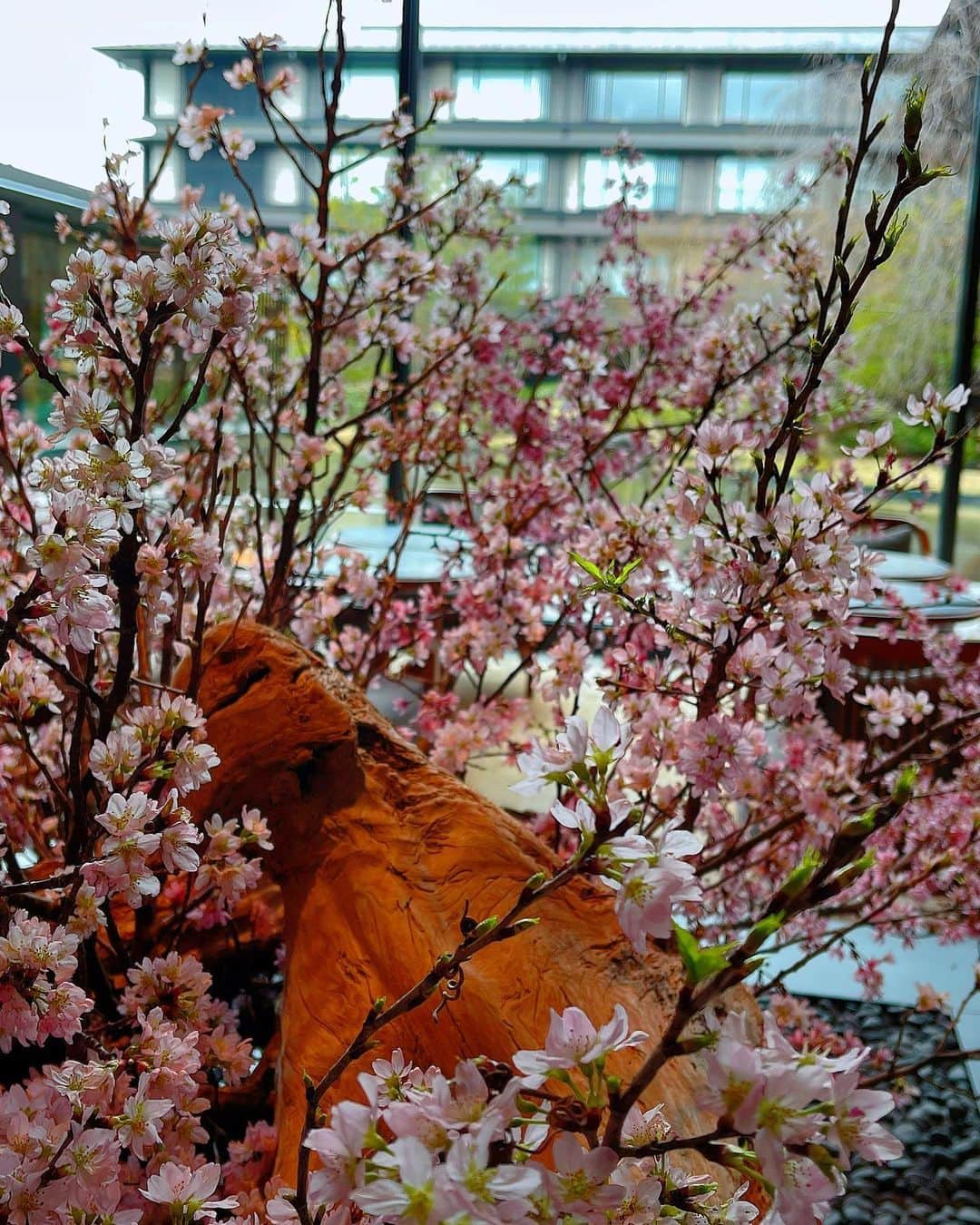 百合華さんのインスタグラム写真 - (百合華Instagram)「京都二条城の目の前にある『HOTEL THE MITSUI KYOTO』のレストラン＆バー『都季 TOKI』にて春の女子会アフタヌーンティータイム🫖✨💕  #女子会のある世の中は平和だ 🕊  現代風日本庭園を眺められるお席へ御案内して貰いパリに本拠地を持つ香水ブランド『ELLA K』とコラボなされたとっても可愛いアフタヌーンティーSETをいただきました🍽  #コラボアフタヌーンティー   ウェルカムドリンクは京都老舗茶舗『柳櫻園』の最高級玉露を味わえる京都らしいおもてなし🍵  京都の伝統工芸品である『開化堂』の真鍮缶や『金網つじ』の京金網を紡いだプレートを使用されており職人技術に触れながら優雅なひとときを過ごす事が出来ます🎶  #京都の伝統を肌で感じた   ラゲッジケースにずらりと並ぶ『TWG Tea』の紅茶缶から御好きな香りの茶葉を選ばせて貰えるので普段は飲まない種類の御紅茶にも出逢えます✨✨✨  素敵な景色を眺めながらとっても優雅で贅沢なひとときを過ごす事が出来ました💖  #大切な人との時間を大切に   #japan  #日本 #kyoto #京都 #京都二条 #hotelthemitsuikyoto  #ホテルザ三井京都  #afternoontea  #アフタヌーンティー #女子会アフタヌーンティー  #女子会は話が尽きない  #伝統工芸品を日常に  #素敵なおもてなし #現代風日本庭園 #京都伝統工芸 #金網つじ  #開花堂 #twgtea #高級玉露 #玉露の旨味 #柳櫻園の玉露  #美食 #美食家」3月31日 15時23分 - yurika.lovelily