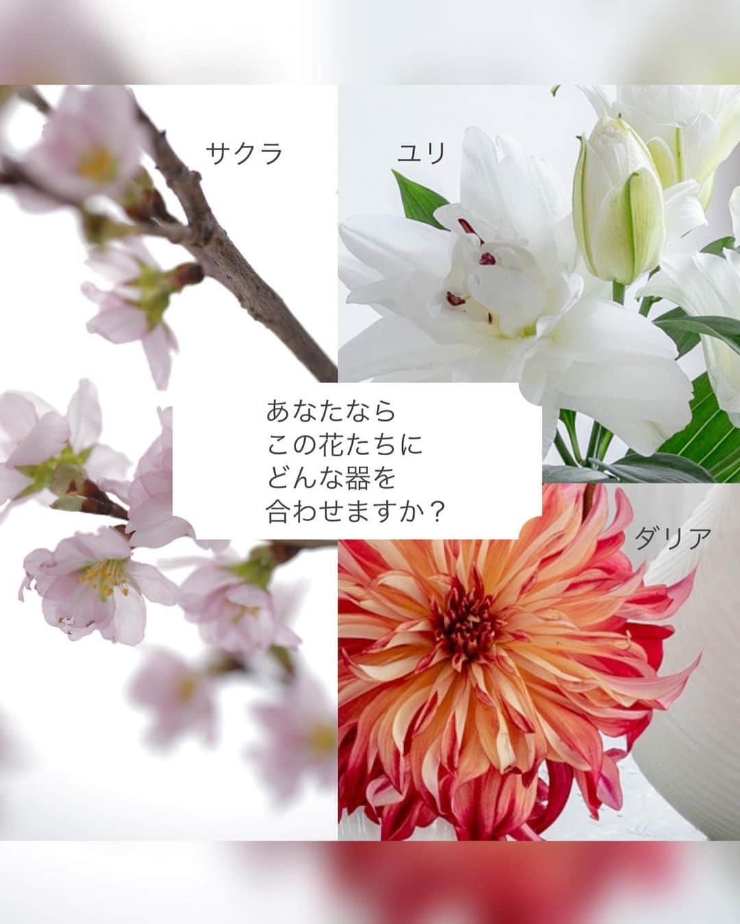 雑誌『花時間』さんのインスタグラム写真 - (雑誌『花時間』Instagram)「この春は、花器を新調してみませんか？　おすすめは『ウェッジウッド』の花器。   花時間（＠hnaajikan_magazine）です。   水を満たせたら、基本的にはどんな器にも花をいけられます。けれど、花の美しさをより引き立てたい場合には、上質な花器をひとつは持っておきたいものです。   いけた花と部屋に品のよさを薫らせる『ウェッジウッド』の花器。 じつは、飾りたいイメージに合わせて選べるほど、さまざまなサイズのものがそろっています。   ここに紹介した3シリーズでは、枝ものを伸びやかにいけられる高さのものから、サイドテーブルに低く、かわいらしく飾れるミニタイプまで。   表面に施された繊細なテクスチャーもそれぞれなので、拡大してご覧になってください。   ＊それぞれの器と花材 【Jasper Folia】ジャスパー フォリア 花器：ジャスパー フォリア ベース 31㎝ ミンク/ ベース 22㎝ ドーブグレイ 花材：ケイオウザクラ、ハクモクレン、ヒカゲカズラ     【Magnolia Blossom】マグノリア ブロッサム 花器：マグノリア ブロッサム ローズ ボール(高さ11㎝) / ベース(高さ18㎝) 花材：八重咲きのユリ、センニンソウ   【White Folia】ホワイトフォリア 花器：ホワイト フォリア ベース 13cm/ ベース 23㎝ 花材：ダリア、コチョウラン、ポピー、アンスリウム、グズマニア、アジサイ   これらのアレンジは『ウェッジウッド』のインスタグラムで、いけかたや器の生かし方を動画で紹介しています。レッスンしているのは、表参道にあるフラワーショップ『ロジ プランツ＆フラワー』のオーナーでフラワーアーティストの宇田陽子さん。 https://www.instagram.com/wedgwoodjapan/   とても参考になりますよ！   #wedgwoodjapan #wedgwood #ウェッジウッド #花のある暮らし #花が好き #フラワーベース #花の飾り方 #花のある生活 #udayoko_artworks #udayoko_flowerworks #logiplantsandflowers @udayoko」3月31日 15時18分 - hanajikan_magazine