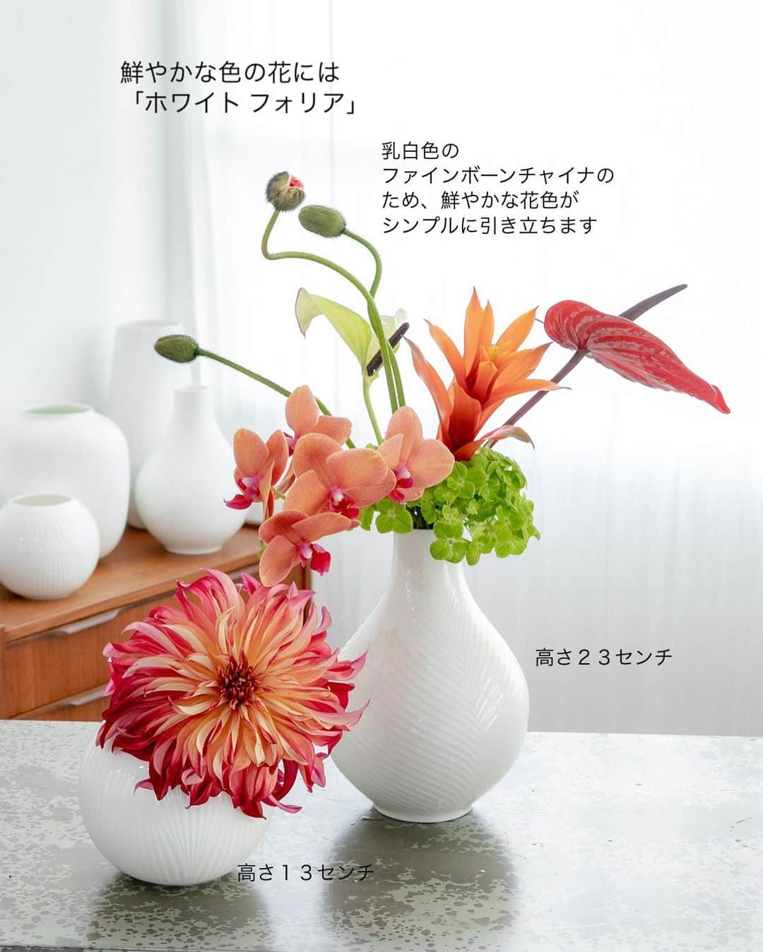 雑誌『花時間』さんのインスタグラム写真 - (雑誌『花時間』Instagram)「この春は、花器を新調してみませんか？　おすすめは『ウェッジウッド』の花器。   花時間（＠hnaajikan_magazine）です。   水を満たせたら、基本的にはどんな器にも花をいけられます。けれど、花の美しさをより引き立てたい場合には、上質な花器をひとつは持っておきたいものです。   いけた花と部屋に品のよさを薫らせる『ウェッジウッド』の花器。 じつは、飾りたいイメージに合わせて選べるほど、さまざまなサイズのものがそろっています。   ここに紹介した3シリーズでは、枝ものを伸びやかにいけられる高さのものから、サイドテーブルに低く、かわいらしく飾れるミニタイプまで。   表面に施された繊細なテクスチャーもそれぞれなので、拡大してご覧になってください。   ＊それぞれの器と花材 【Jasper Folia】ジャスパー フォリア 花器：ジャスパー フォリア ベース 31㎝ ミンク/ ベース 22㎝ ドーブグレイ 花材：ケイオウザクラ、ハクモクレン、ヒカゲカズラ     【Magnolia Blossom】マグノリア ブロッサム 花器：マグノリア ブロッサム ローズ ボール(高さ11㎝) / ベース(高さ18㎝) 花材：八重咲きのユリ、センニンソウ   【White Folia】ホワイトフォリア 花器：ホワイト フォリア ベース 13cm/ ベース 23㎝ 花材：ダリア、コチョウラン、ポピー、アンスリウム、グズマニア、アジサイ   これらのアレンジは『ウェッジウッド』のインスタグラムで、いけかたや器の生かし方を動画で紹介しています。レッスンしているのは、表参道にあるフラワーショップ『ロジ プランツ＆フラワー』のオーナーでフラワーアーティストの宇田陽子さん。 https://www.instagram.com/wedgwoodjapan/   とても参考になりますよ！   #wedgwoodjapan #wedgwood #ウェッジウッド #花のある暮らし #花が好き #フラワーベース #花の飾り方 #花のある生活 #udayoko_artworks #udayoko_flowerworks #logiplantsandflowers @udayoko」3月31日 15時18分 - hanajikan_magazine