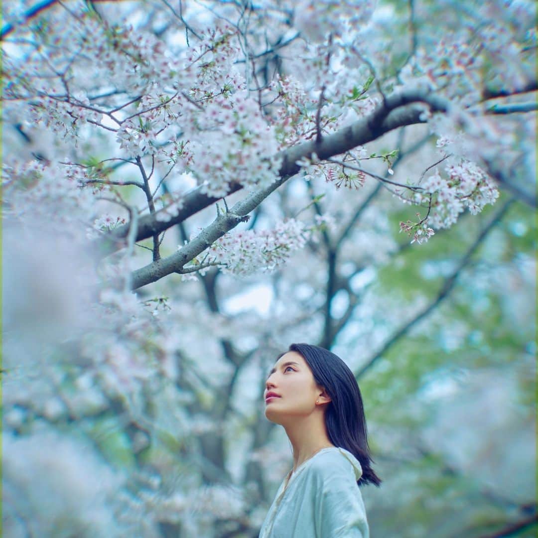 望月一花のインスタグラム：「桜の季節に産まれた歓び🌸」