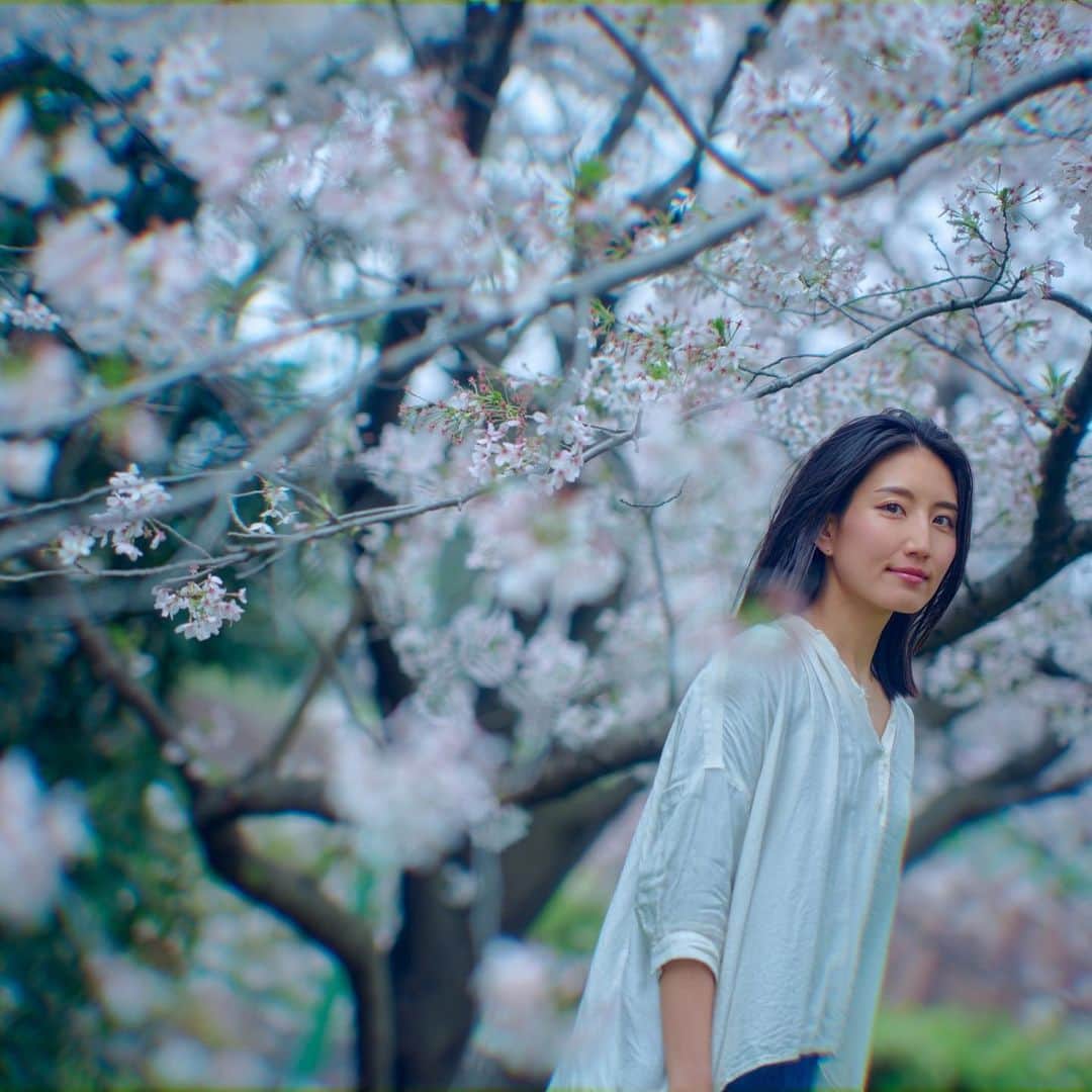 望月一花さんのインスタグラム写真 - (望月一花Instagram)「平和な世界で 毎年桜と撮れる歓び🌸」3月31日 15時35分 - sayavati