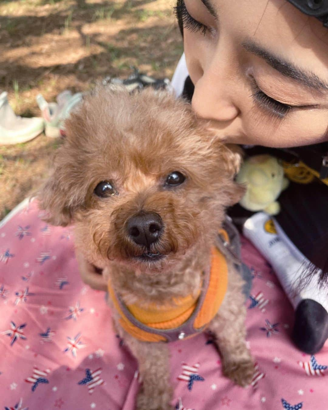 コン・ミンジさんのインスタグラム写真 - (コン・ミンジInstagram)「3월의 마지막🌸💜💛 예쁜 새 옷과 새신을 신고 봄나들이로 마무리✌🏼  Clothes: @born2bw_  Shoes: @vans_korea @hyundolee_  @thedeuxofficial」3月31日 15時42分 - _minzy_mz