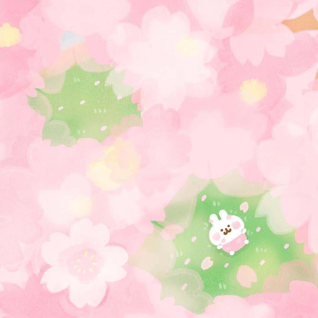 カナヘイのインスタグラム：「こちらが桜を見上げるとき □■□ □□□  #4月壁紙 #Illustration #making #タイムラプス #メイキング #kanahei #卡娜赫拉 #卡娜赫拉的小動物 #カナヘイの小動物 #桜　#お花見」