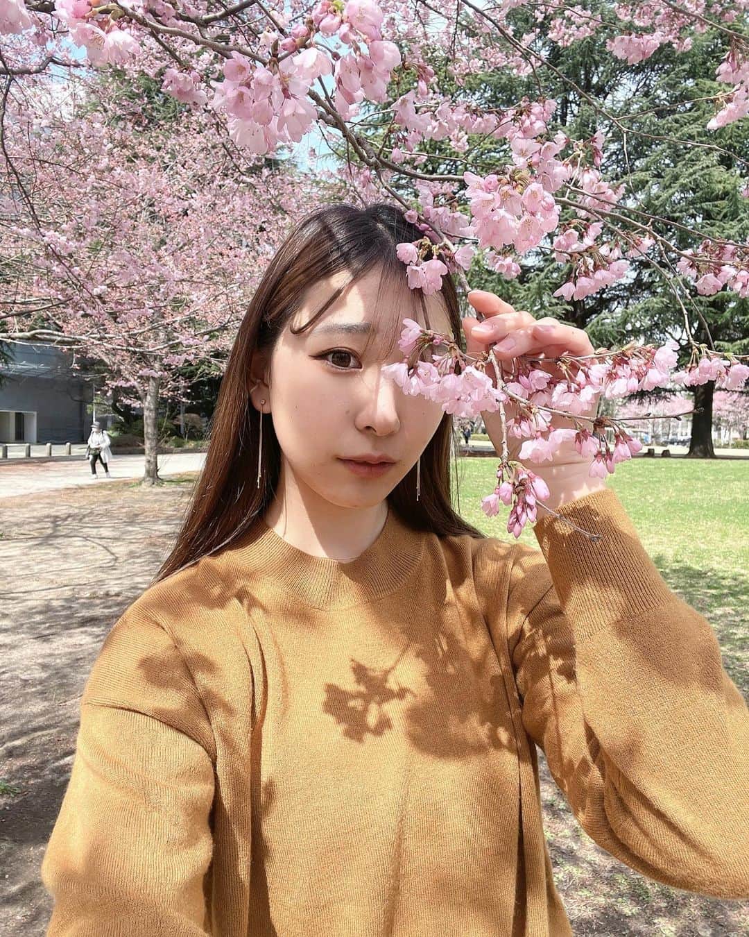 Dorothy Little Happyのインスタグラム：「. 今年も #桜 がみれましたぁ｡❀ #3月 もありがとうございました♡」