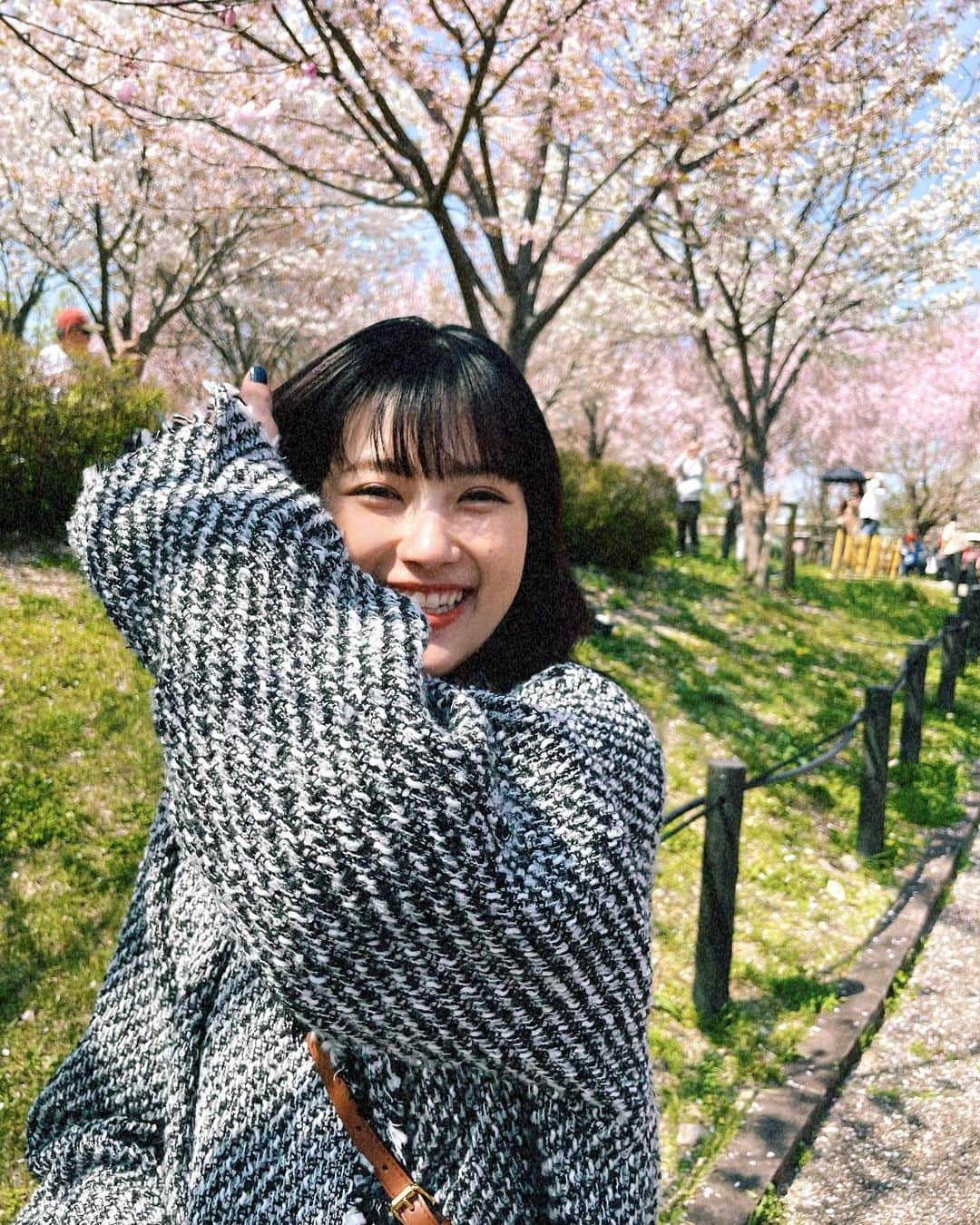 井頭愛海のインスタグラム：「. 今年も桜見れた〜🌸嬉しい〜🫶🏻🫶🏻」