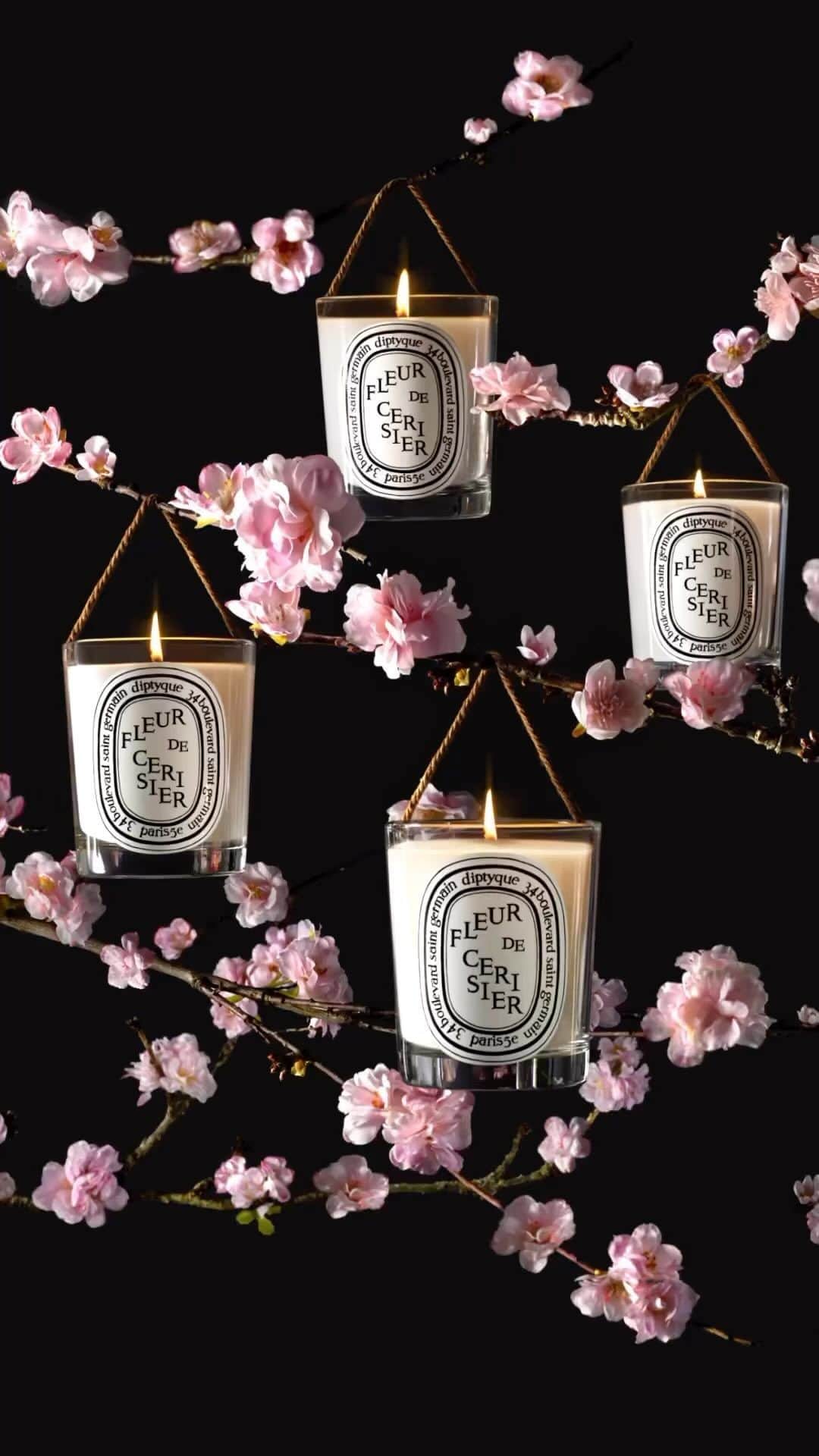 のインスタグラム：「Night falls and the cherry trees… …light up. Diptyque’s Cherry Blossom candle celebrates yozakura, the Japanese tradition of viewing illuminated cherry blossoms at night. Its floral accord blends lily of the valley with rose, raspberries, cherries and musks.   #diptyque #diptyqueparis #cherryblossom #fleurdecerisier」