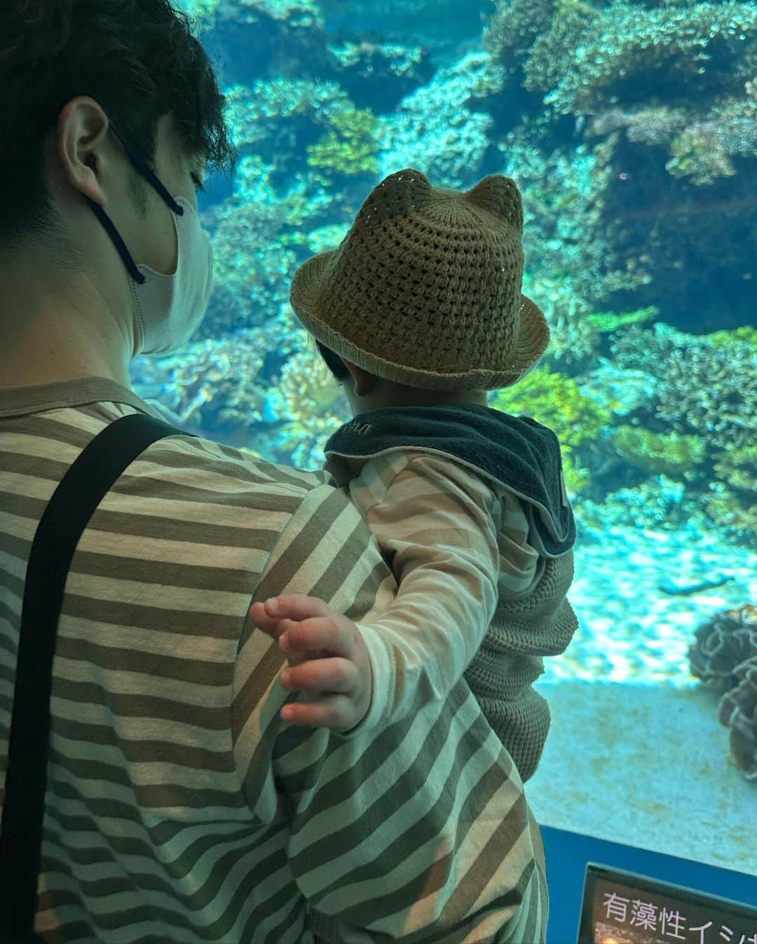 畑有里紗さんのインスタグラム写真 - (畑有里紗Instagram)「トナの水族館デビュー👶🏻🐠🐡 はじめての水族館は美ら海水族館へ🚗  目で追ったり声出したりバイバイしたり👋 たくさん反応してて可愛かったなぁ♡ ジンベイザメもちゃんと見てた🦈👀  イルカショー見せたかったけど イルカよりも周りの拍手とかそうゆう方が気になってほとんど見てなかった🤣  水族館デートでよく行ったけど私たちも好きやから 我が子を連れて来られる日が来て嬉しかったな😉 もう少しわかるようになってから近くの水族館もまた色々連れて行きたい〜〜🫶  @sho_arii.family  #となのいる生活#水族館デビュー#息子#男の子ベビー#男の子ママ#赤ちゃんのいる生活#生後10ヶ月#美ら海水族館#沖縄旅行#okinawa#沖縄観光#家族旅行#沖縄#子連れ沖縄#子連れ沖縄旅行#ママ#お出かけスポット#お出かけスポット沖縄#子連れお出かけ」3月31日 21時16分 - arii_m36