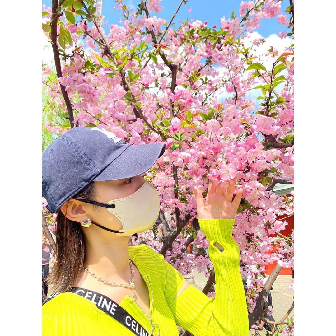 渡辺知夏子さんのインスタグラム写真 - (渡辺知夏子Instagram)「桜🌸×スカイツリー🏙️ . . #skytree  #スカイツリー #お花見 #桜 #cherryblossom  #asakusa  #浅草」3月31日 16時17分 - chikako_724