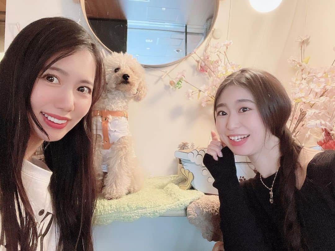 南まゆさんのインスタグラム写真 - (南まゆInstagram)「♡ 愛犬みるみる🐶 3/18に 5歳のお誕生日を迎えました💞🥰🎉✨ . 裕香お姐さんもみるみるのお誕生日会に参加してくれました😍‼︎ 裕香お姐さんとずっとオフにお出かけしたかったので念願叶いました😍💓 . みるみるはお誕生日プレゼントもらって喜んでました☺️🎁 そして裕香お姐さんに抱っこされて嬉しそうなみるみるでした🐶💗✨ . 公園でお散歩お花見もできて 楽しかったです~~とっても🥰🌸💞‼︎‼︎✨‼︎‼︎ . #春　#桜　#お花見 #お花見散歩 #お誕生日会　#犬のケーキ」3月31日 16時18分 - mayuminami1127