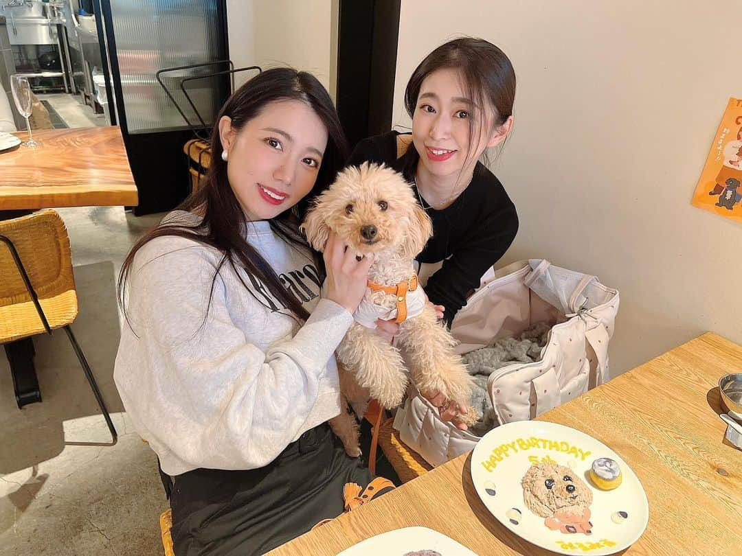 南まゆさんのインスタグラム写真 - (南まゆInstagram)「♡ 愛犬みるみる🐶 3/18に 5歳のお誕生日を迎えました💞🥰🎉✨ . 裕香お姐さんもみるみるのお誕生日会に参加してくれました😍‼︎ 裕香お姐さんとずっとオフにお出かけしたかったので念願叶いました😍💓 . みるみるはお誕生日プレゼントもらって喜んでました☺️🎁 そして裕香お姐さんに抱っこされて嬉しそうなみるみるでした🐶💗✨ . 公園でお散歩お花見もできて 楽しかったです~~とっても🥰🌸💞‼︎‼︎✨‼︎‼︎ . #春　#桜　#お花見 #お花見散歩 #お誕生日会　#犬のケーキ」3月31日 16時18分 - mayuminami1127