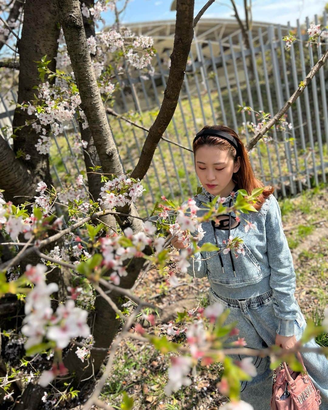 一羽萌瑠のインスタグラム：「🌸🌸🌸🌸🌸🌸🌸🌸🌸🌸🌸  #sakura  #cherryblossom  #お花見  #桜  #春コーデ  #デニムコーデ  #diesel」