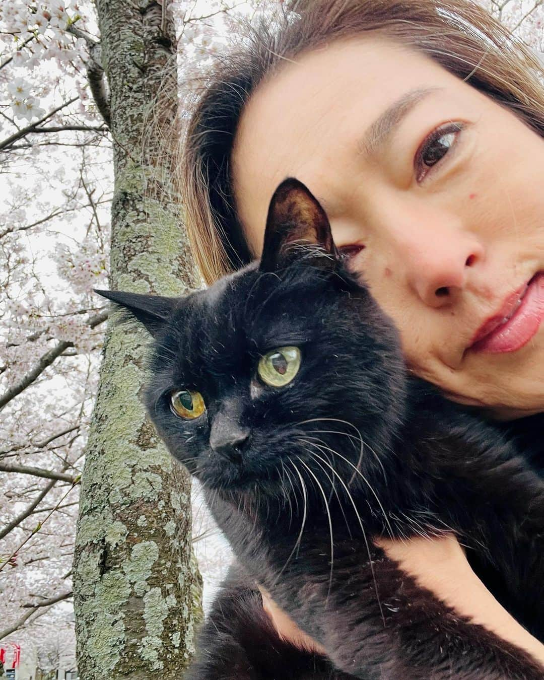 岡部亜紀のインスタグラム：「病院の待ち時間に 公園貸切でお花見🐈‍⬛🌸  猫は、桜より草が好物  #みんみん #もうすぐハタチ #黒猫 #🐈‍⬛」