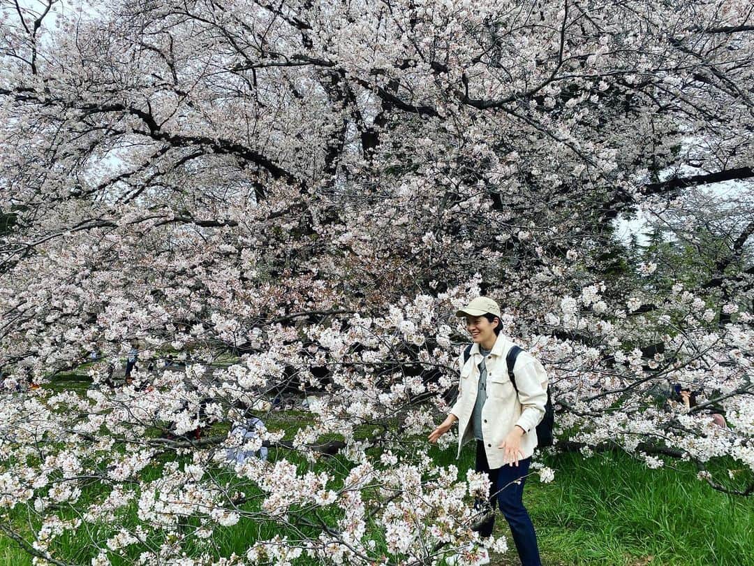 見田村千晴さんのインスタグラム写真 - (見田村千晴Instagram)「夢に出てくる楽園のようなピースフル花見だった」3月31日 16時28分 - chiharu_mtmr