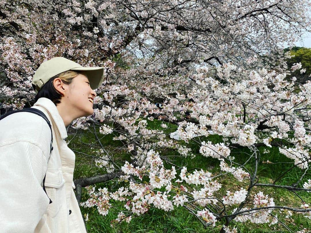 見田村千晴のインスタグラム：「夢に出てくる楽園のようなピースフル花見だった」