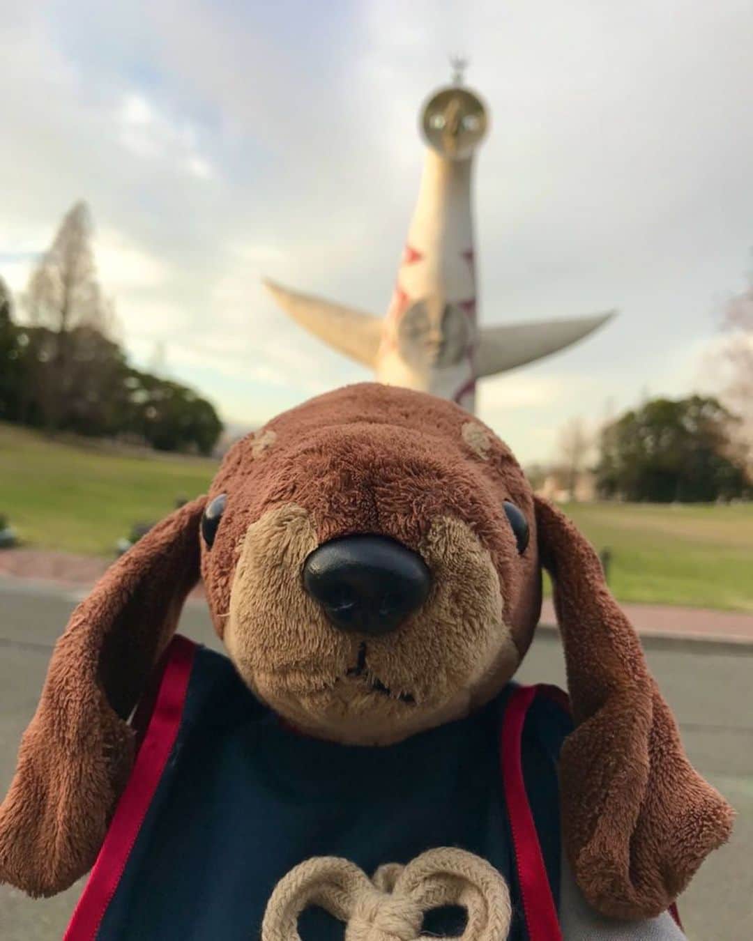 櫻井里花のインスタグラム：「🐶配信リリースかいし！🐶 『VS / 旅人呟歌』 配信はじまりました〜🎊 たくさんのかたにたすけていただき！ できあがった音源です！！  ぜひきーてね！！ https://linkcloud.mu/2b3238cd」
