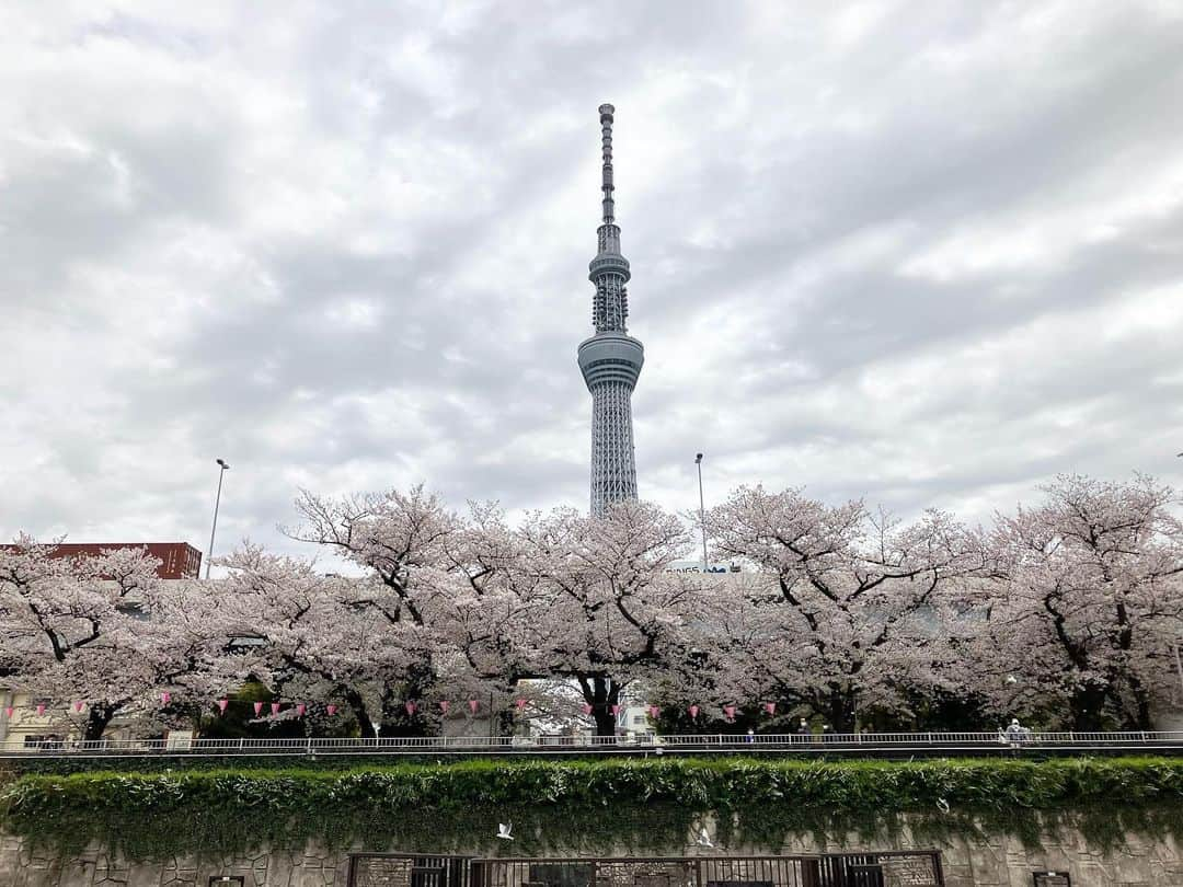 中嶋佳子さんのインスタグラム写真 - (中嶋佳子Instagram)「娘は今日で保育園が終わり、来週から小学生になります。産まれてから小学生になるまでこんなに早く感じるなんて…。娘はワクワク、親はドキドキですが笑 こうして成長していく門出を寂しいながらも笑顔で背中を押していける母親になれますように… . 隅田川クルージングにも行って、スカイツリーと桜のコラボに酔いしれた🌸 . #中嶋佳子 #女優 #役者 #actor @yoshiko_world #japaneseactors  #男の子ママ #女の子ママ #姉弟ママ #娘と #スカイツリー #桜 #お花見 #小学生 #しんいちねんせい #おめでとう #新一年生 #すみだがわ #隅田川 #クルージング」3月31日 17時26分 - yoshiko.nakashima