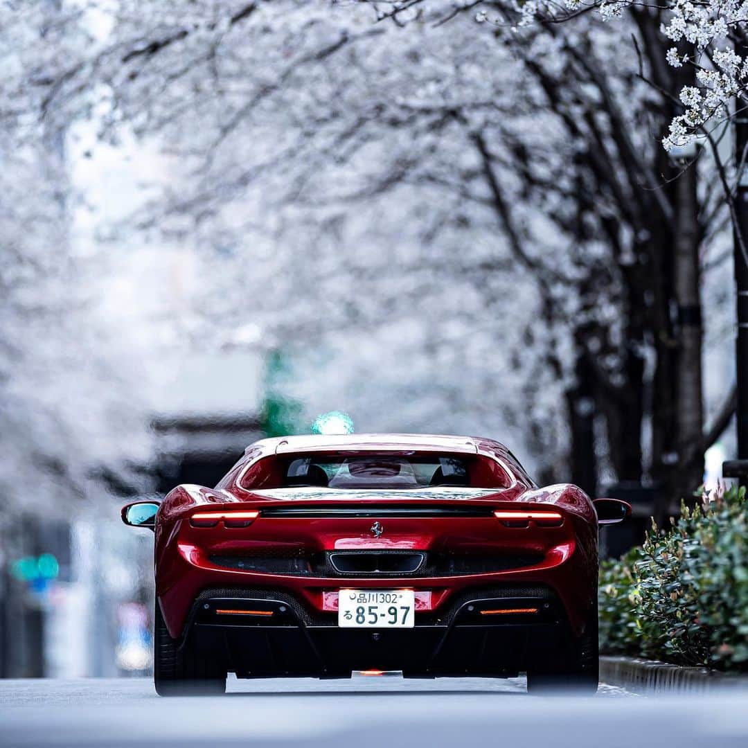 Ferrari Japanさんのインスタグラム写真 - (Ferrari JapanInstagram)「The cherry blossom time of the year in Japan has arrived: it’s time to take a ride. Immerse yourself in the magic of #Tokyo in full bloom with the #Ferrari296GTB.  Credits to @ferrarijpn. #Ferrari #Hanami #花見」3月31日 17時30分 - ferrarijpn