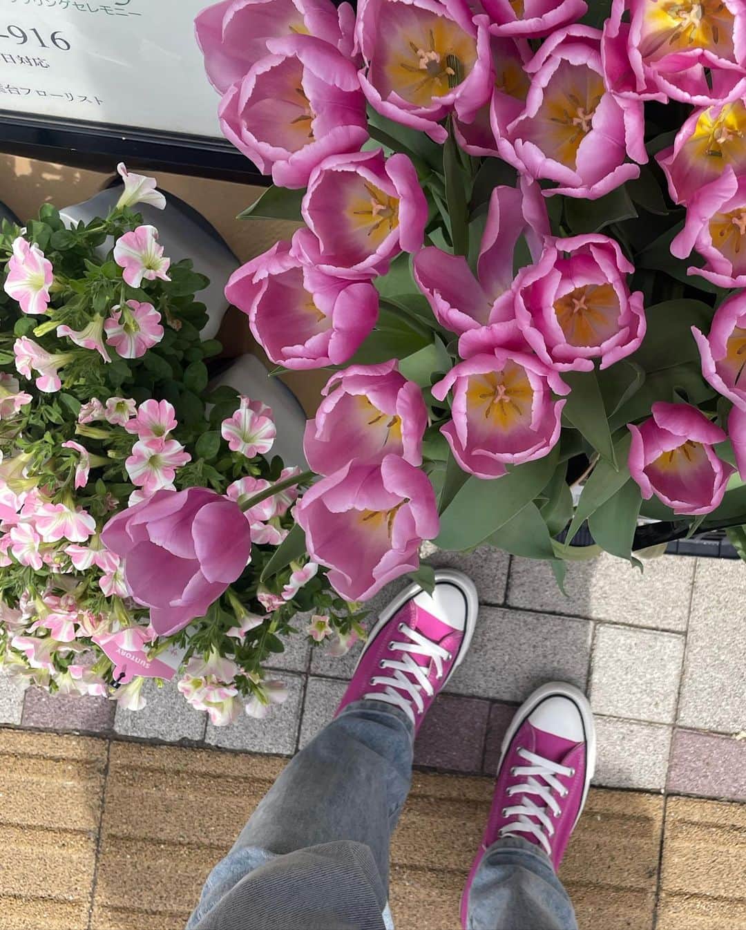 石坂友里さんのインスタグラム写真 - (石坂友里Instagram)「中目黒の桜見れました🥹🌸🌸 新しくいただいたコンバースのピンクと一緒に🌸🌸🌸　@converse_jp  黄色も迷ったけど、やっぱりピンクが好き🌸とーってもかわいいです🌸 @shirainorimasa 🙏🏻🩷 나카메구로 사쿠라 🌸이쁜 신발과 함께🌸 @converse_jp」3月31日 17時40分 - yuri.d