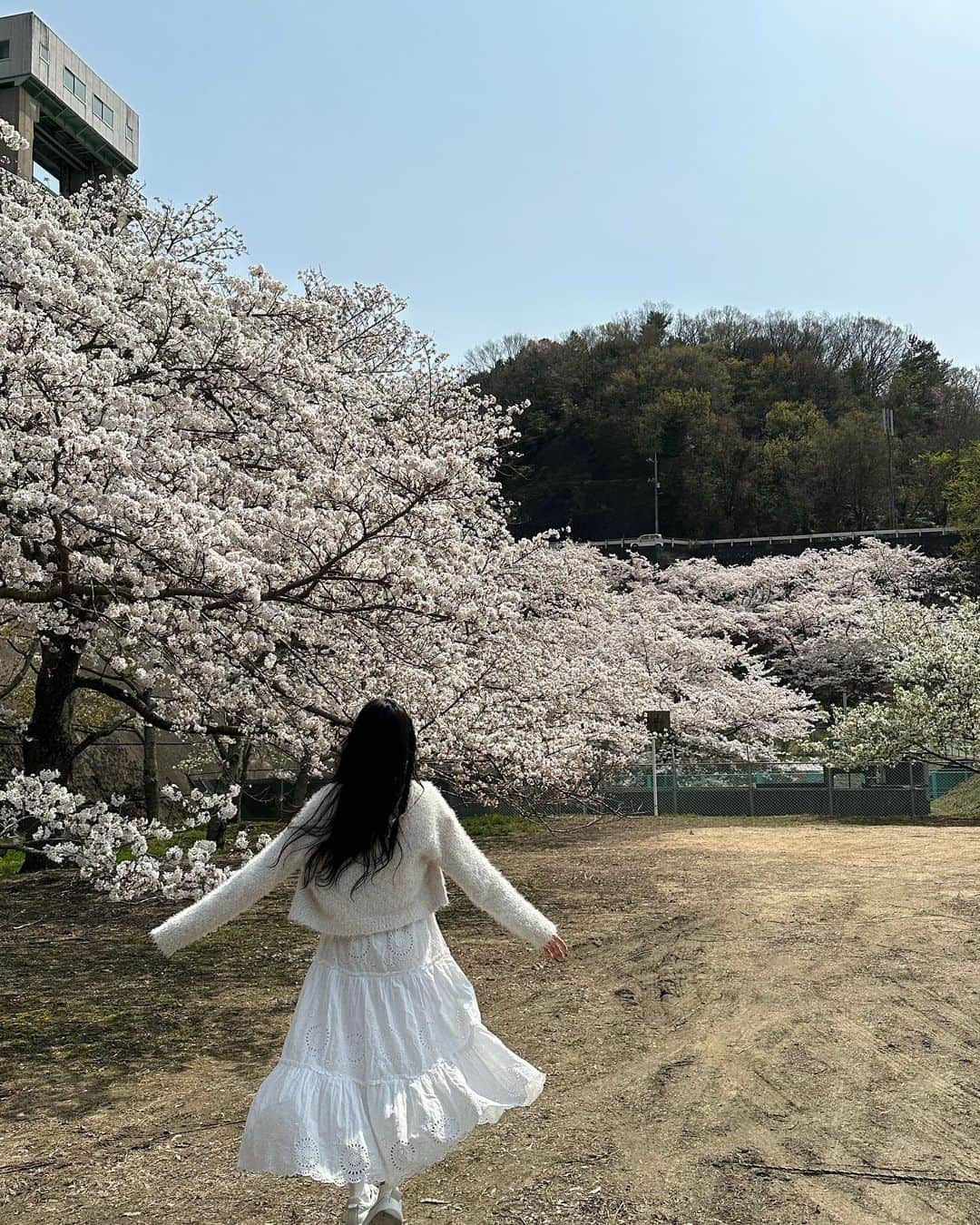 入江美沙希さんのインスタグラム写真 - (入江美沙希Instagram)「祖父祖母と一緒にお花見をしました🌸  鳥の鳴き声、水が流れる音が心地よくて癒されました 桜の下で食べる桜餅も美味しかったな～🍵🍡 春を感じれて嬉しいかぎり♡！  #ソメイヨシノ#桜#お花見#小豆島#06#jk」3月31日 17時51分 - irie_misaki_official