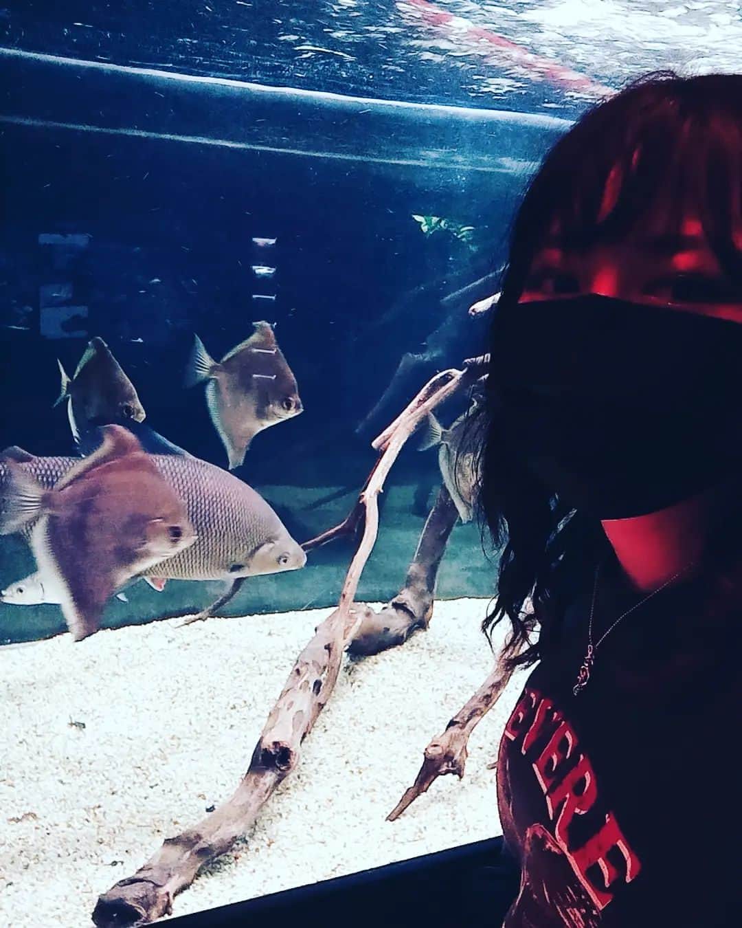 森木レナさんのインスタグラム写真 - (森木レナInstagram)「個性的な魚いっぱいいてよかった。  #川崎水族館  #シンガーソングライター #singersongwriter  #aquariumfish」3月31日 17時59分 - rena_moriki