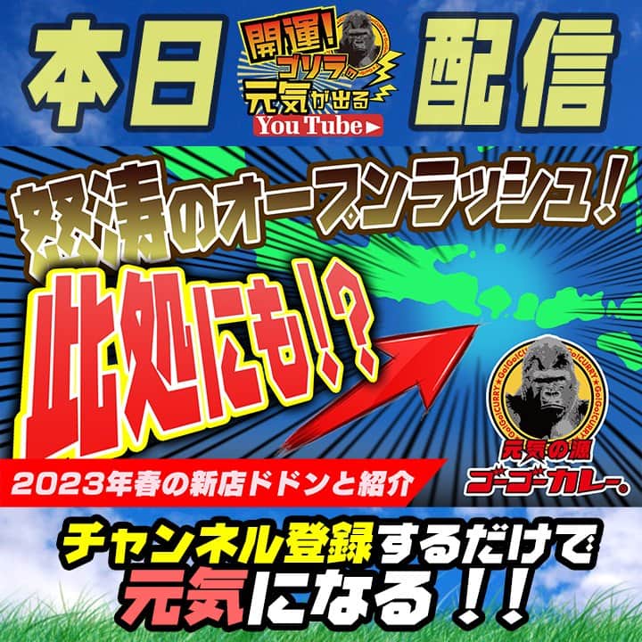 ゴーゴーカレーのインスタグラム：「開運! ゴリラの元気が出るYouTube本日配信しました❗🦍🧡 https://youtu.be/mOWzCKBOIW8 【怒涛のオープンラッシュ！此処にも！？】 2023年に入ってからの新店ラッシュに関してお届けします！  ぜひチャンネル登録お願いします♪😄 🍛ゴーゴーカレー公式Youtube　【開運ゴリラ】で検索！  https://www.youtube.com/channel/UC1vkTl8tfiMQBURZcwnSxdw 🍛 Instagram https://www.instagram.com/gogocurry55/ 🍛 Twitter https://twitter.com/GOGO_CURRY​​ 🍛TikTok　始めました！ 【ゴーゴーカレー公式】で検索！  #ゴーゴーカレー #curry #金沢グルメ #japanese  #お得 #gogocurry #カレー 　#食べ歩き　#金沢カレー　#Youtube  #ゴリラ　#オープン　#新店」
