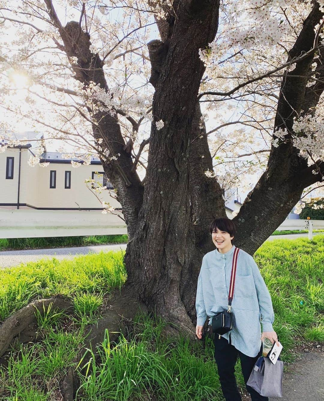 木下愛華さんのインスタグラム写真 - (木下愛華Instagram)「. もみあげがどこかに散った木下です🌸  今年度は、やりたい方々とやりたいお仕事をすることができた年でした。 マネージャーさん、俳優仲間のみなさん、関係者の皆様に大声でありがとうを叫びたい。叫びます。次会った時は、少し距離をとって頂くのが吉かもしれません。  そして！応援してくれたみなさん。 とっても、とってもありがとうございました。中には毎回のごとく舞台を観に来てくださる方々もいて、忙しい中予定を調節してくれたり、感想をSNSやコメントで届けてくれたり、返せているのかとたまに不安になるくらいに温かさを分けられています。わたしも、そろそろ皆さんと直接お話ししたいので観劇や道端で会った際はぜひお話しましょ~！ 届きにくいけど、わたしも応援しているし悲しいことは出来るだけ少ない毎日だといいなあと心から願っています。  いつもこんなになっちゃうけど やりたいことにしっかりと血を通わせて、ぼちぼち穏やか！を目指して来年度も迎えようと思います。  一応、芸能界へ足を踏み入れて8年が経つというのに写真撮影には一向に慣れず、まるで決まらないポーズの木下でした。」3月31日 17時58分 - kinoshita.desu0099