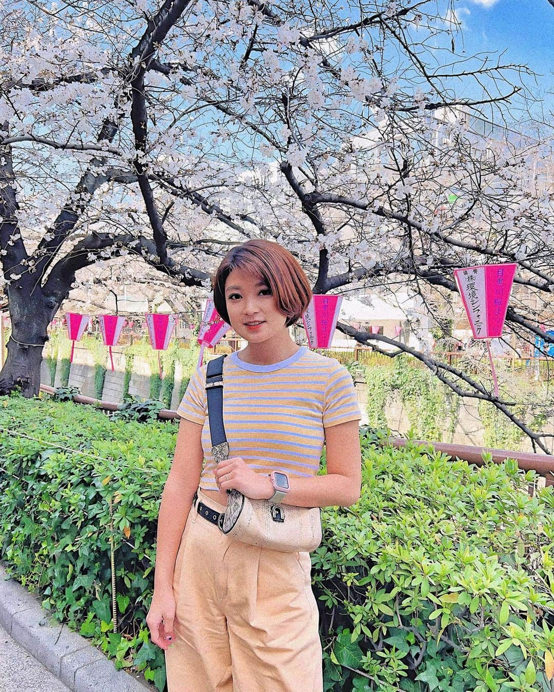 辻井美香のインスタグラム：「目黒川のさくら🌸  日本にいる間に満開になってよかった。沢山綺麗な桜をみれた。  I'm happy about enjoying beautiful cherry blossoms before returning to Los Angeles.  📍目黒川の桜並木/Meguro River Cherry Blossoms Promenade （目黒区中目黒/ Nakameguro, Tokyo, Japan）  #目黒川の桜 #目黒川沿い桜並木 #中目黒桜 #中目黒 #meguroriver #megurorivercherryblossom #桜 #桜スポット #桜並木 #sakura🌸 #cherryblossom #tokyo #tokyojapan #gu #ジーユーコーデ」