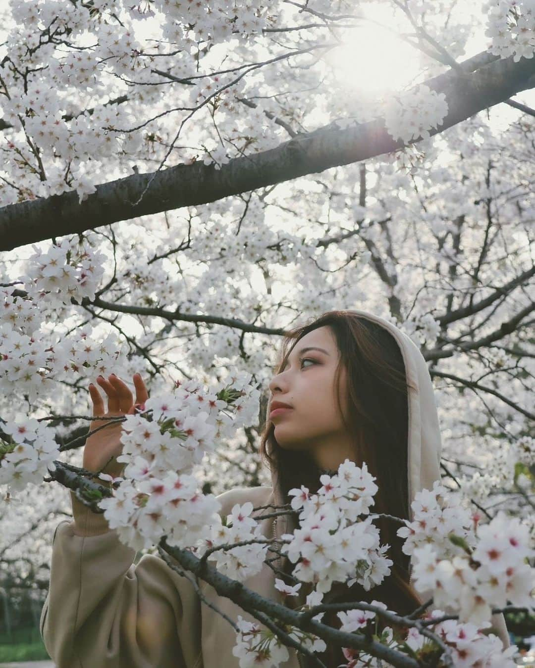 Juli＠のインスタグラム：「🌸 . . .  📷 ♡ @i_am_orie    #sakura🌸 #portrait  #長居植物園」