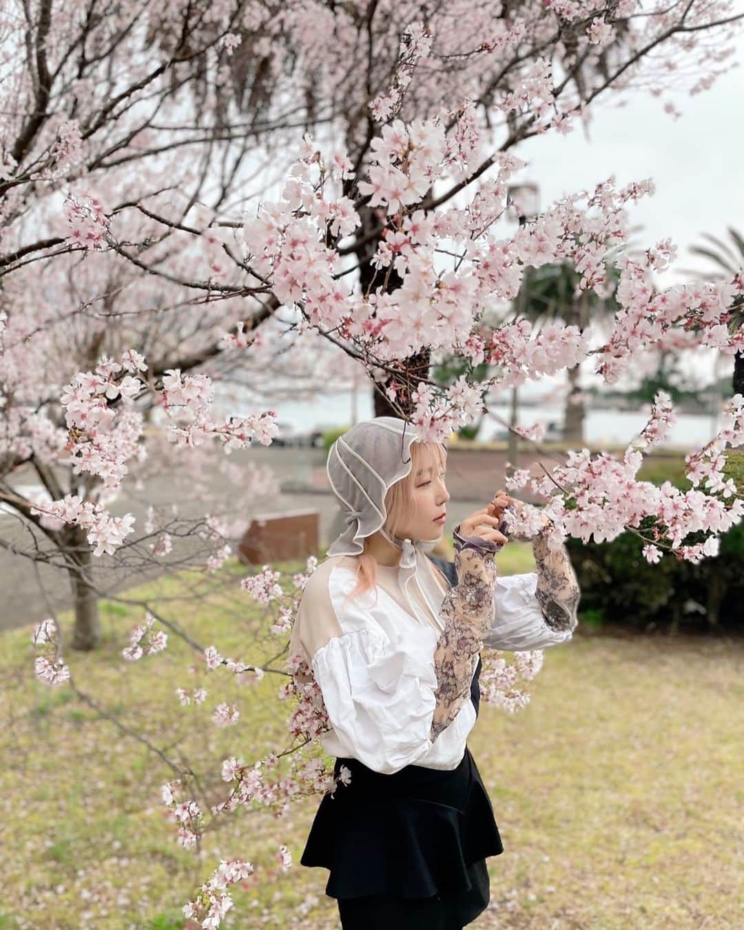 中村未来のインスタグラム：「プレゼント企画やってます🌸 ⁡ #SAKURABURST で桜の写真／動画と曲のリンクをツイートしてね🖤 見るよ💋✴︎」