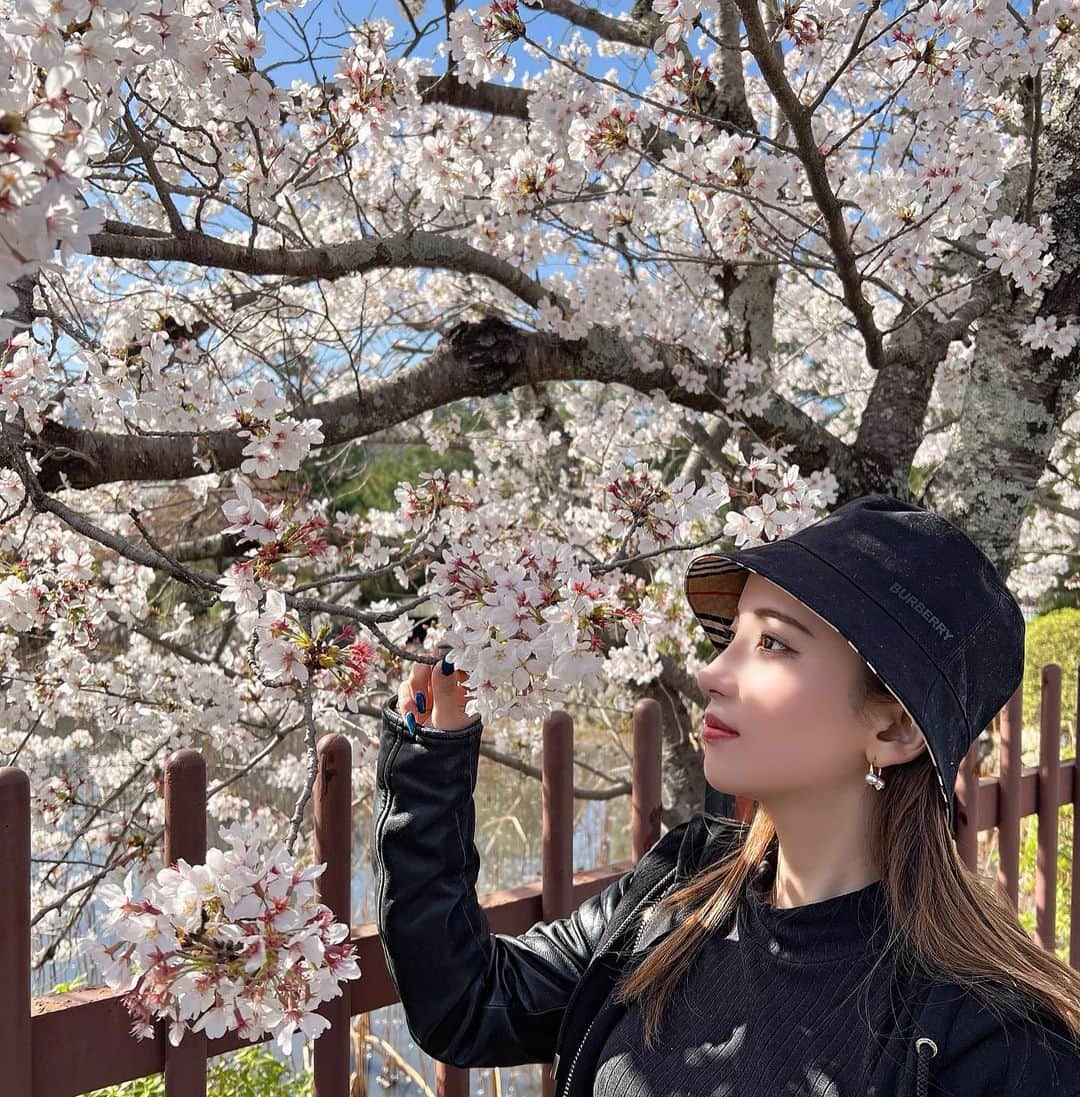 愛沢ひなのインスタグラム：「お花見🌸🍡 #名古屋#キャバクラ#京都」