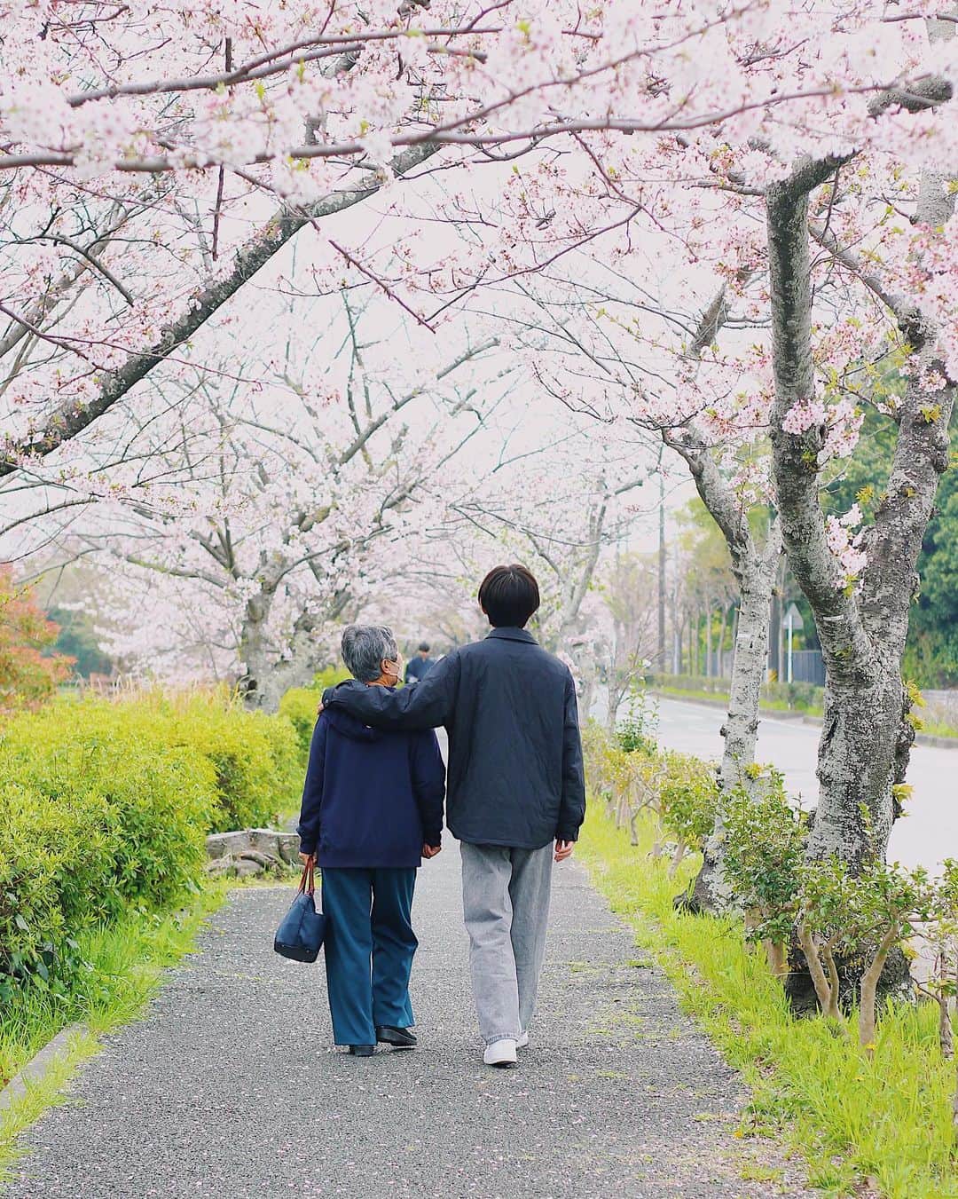 yukaさんのインスタグラム写真 - (yukaInstagram)「桜　SAKURA 🌸  息子の内定が決まり、 これからは全てが一緒に出来る最後だと思うと… 息子と過ごせる時間が大切なんだな。  ばーばも記念写真撮れて喜んでくれた。 2023.3.31  #桜 #sakura  #ザ花部 #team_jp_flower  #igersjp  #photooftheday #photo_jpn #daily_photo_jpn #東京カメラ部 #good_portraits_world  #genic_mag #reco_ig  #写真好きな人と繋がりたい  #何気ない瞬間を残したい #as_archive  #iedemo_graphy #ファインダー越しの私の世界 #関西写真部SHARE #portraitphotography #best_photogram #tv_flowers #私の花の写真 #tv_fadingbeauty #best_moment_flower #bus_flowers #花フレンド #flowerstagram #ig_flowers #flowerphotography」3月31日 18時27分 - yuka_ff