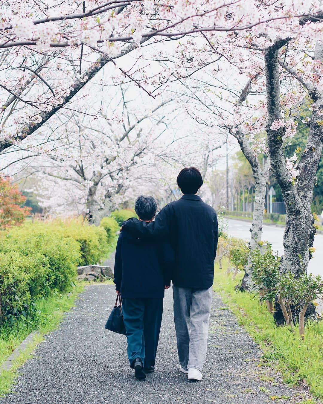yukaさんのインスタグラム写真 - (yukaInstagram)「桜　SAKURA 🌸  息子の内定が決まり、 これからは全てが一緒に出来る最後だと思うと… 息子と過ごせる時間が大切なんだな。  ばーばも記念写真撮れて喜んでくれた。 2023.3.31  #桜 #sakura  #ザ花部 #team_jp_flower  #igersjp  #photooftheday #photo_jpn #daily_photo_jpn #東京カメラ部 #good_portraits_world  #genic_mag #reco_ig  #写真好きな人と繋がりたい  #何気ない瞬間を残したい #as_archive  #iedemo_graphy #ファインダー越しの私の世界 #関西写真部SHARE #portraitphotography #best_photogram #tv_flowers #私の花の写真 #tv_fadingbeauty #best_moment_flower #bus_flowers #花フレンド #flowerstagram #ig_flowers #flowerphotography」3月31日 18時27分 - yuka_ff
