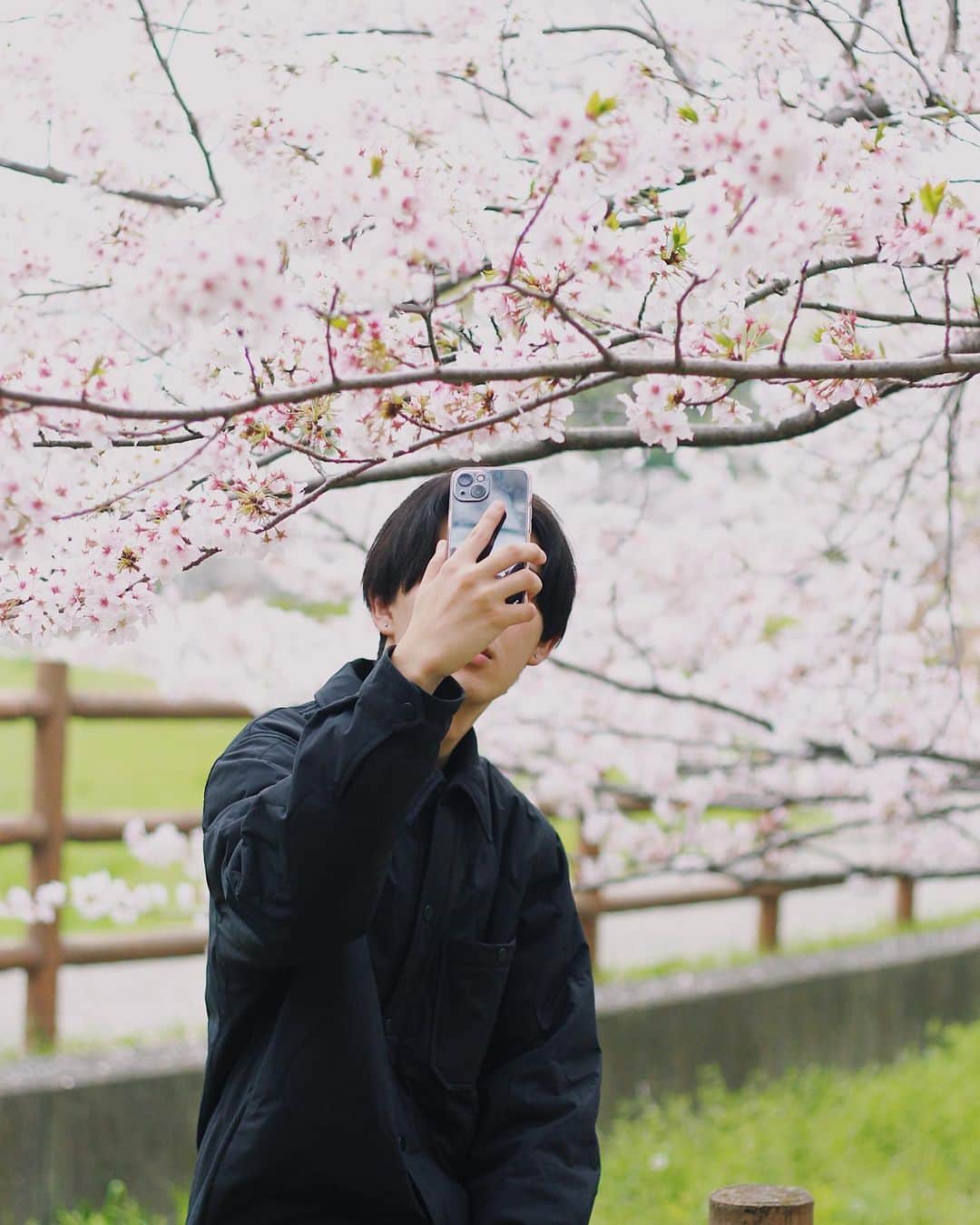 yukaのインスタグラム：「桜　SAKURA 🌸  息子の内定が決まり、 これからは全てが一緒に出来る最後だと思うと… 息子と過ごせる時間が大切なんだな。  ばーばも記念写真撮れて喜んでくれた。 2023.3.31  #桜 #sakura  #ザ花部 #team_jp_flower  #igersjp  #photooftheday #photo_jpn #daily_photo_jpn #東京カメラ部 #good_portraits_world  #genic_mag #reco_ig  #写真好きな人と繋がりたい  #何気ない瞬間を残したい #as_archive  #iedemo_graphy #ファインダー越しの私の世界 #関西写真部SHARE #portraitphotography #best_photogram #tv_flowers #私の花の写真 #tv_fadingbeauty #best_moment_flower #bus_flowers #花フレンド #flowerstagram #ig_flowers #flowerphotography」
